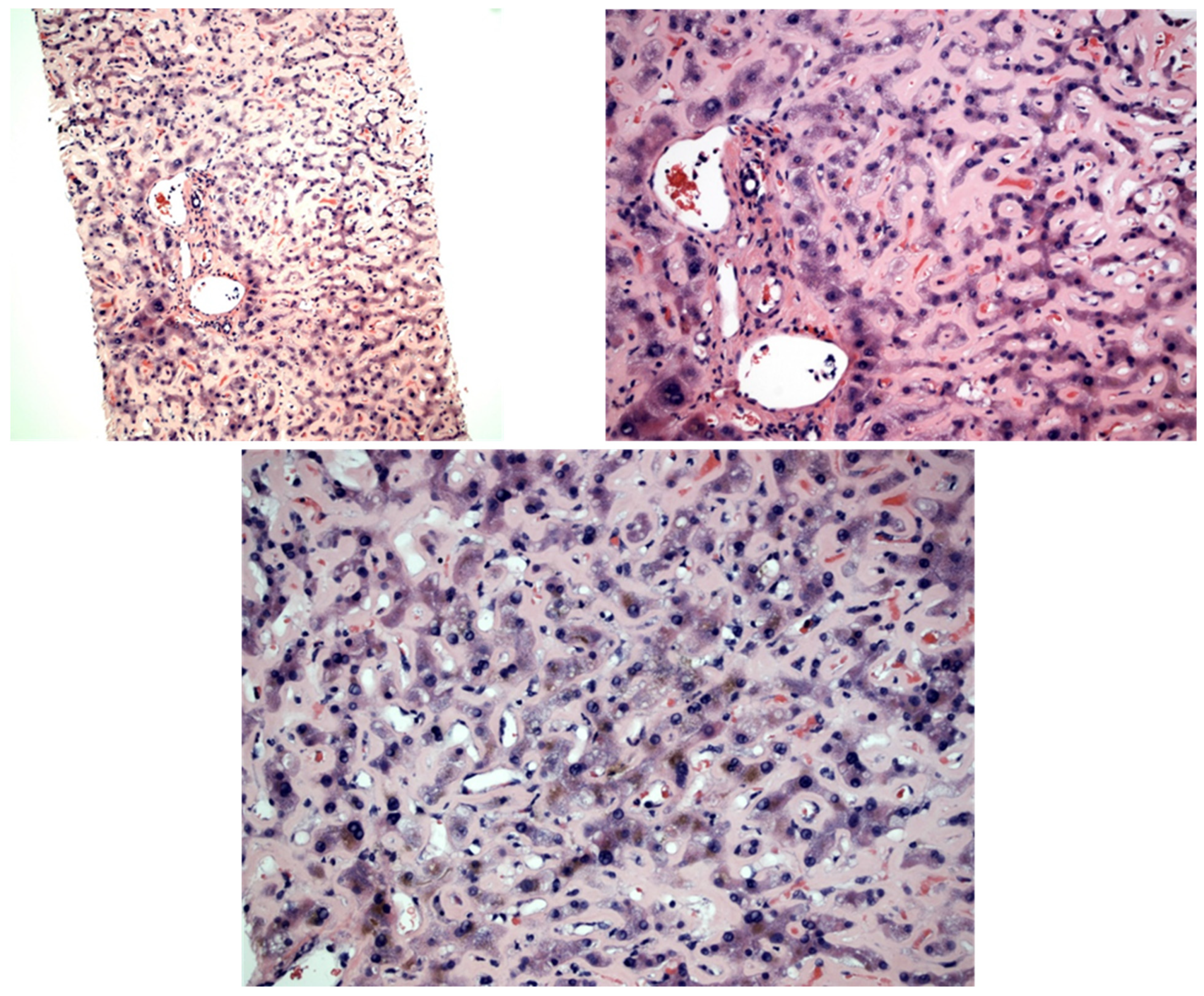 Diseases 11 00024 g001