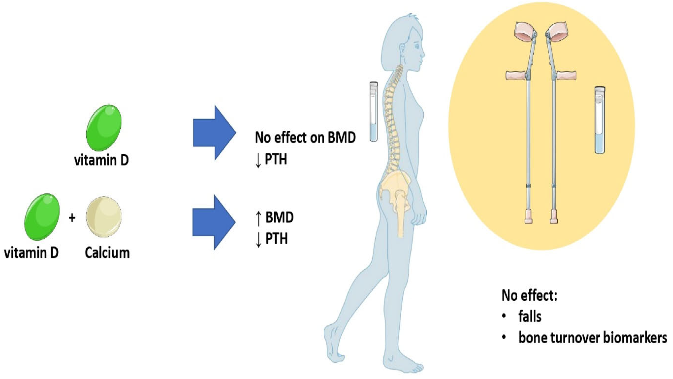 Diseases 11 00029 g001