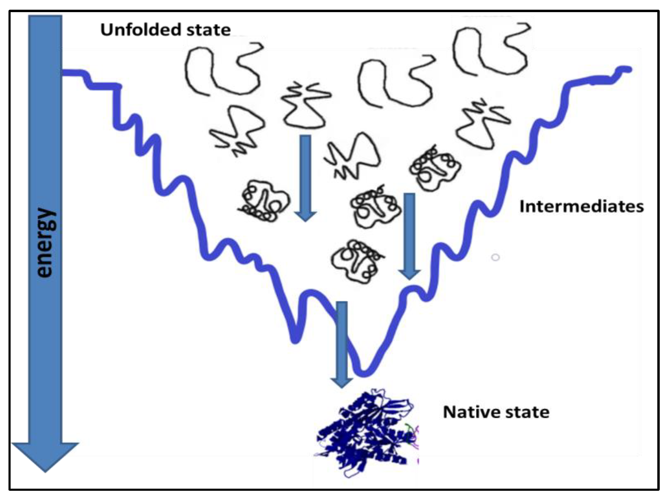 Diseases 11 00030 g001
