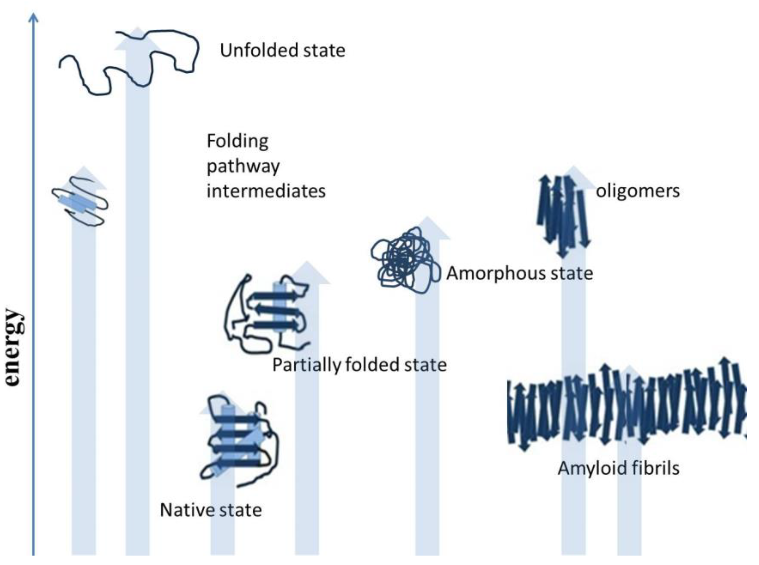 Diseases 11 00030 g002