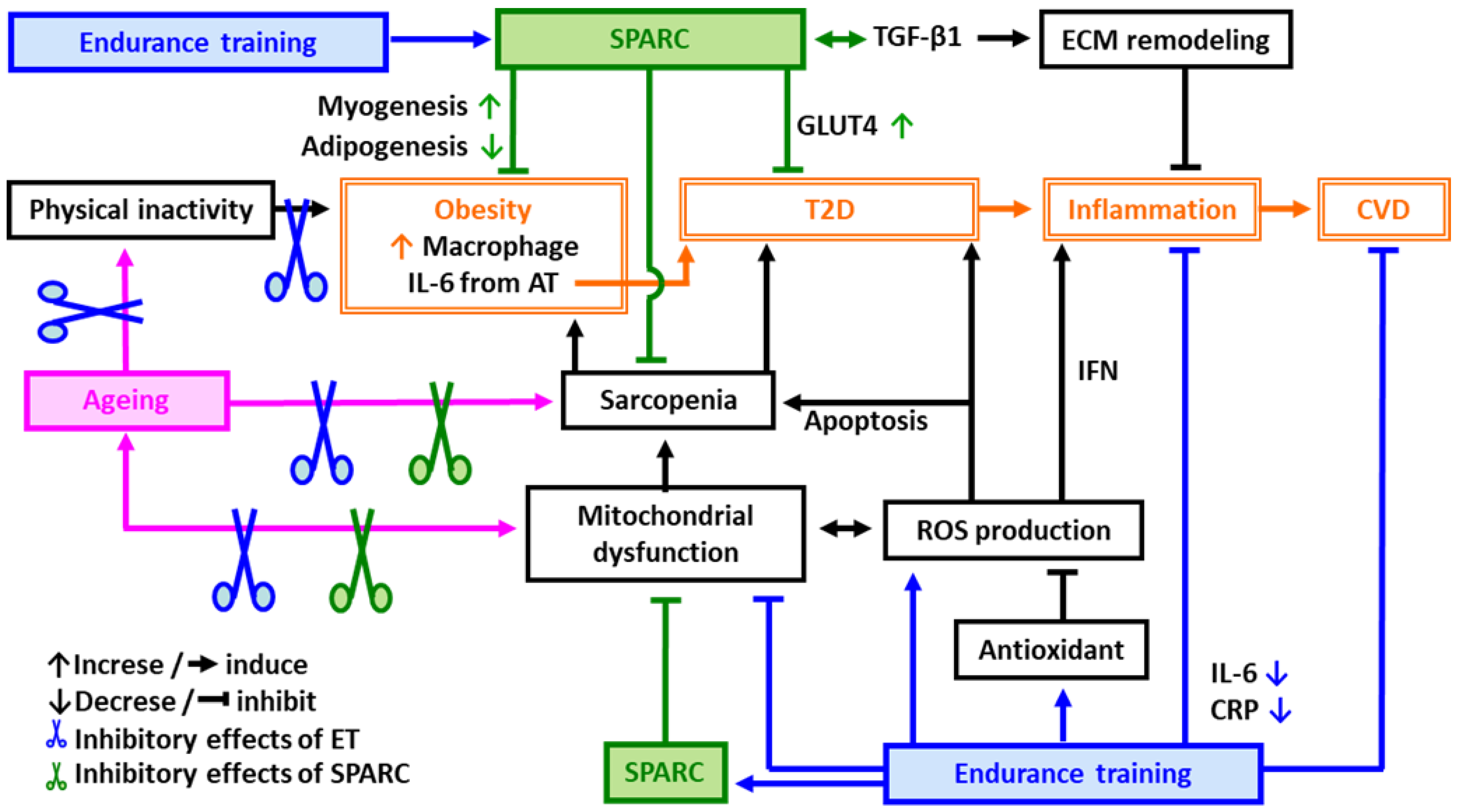 Diseases 11 00033 g001