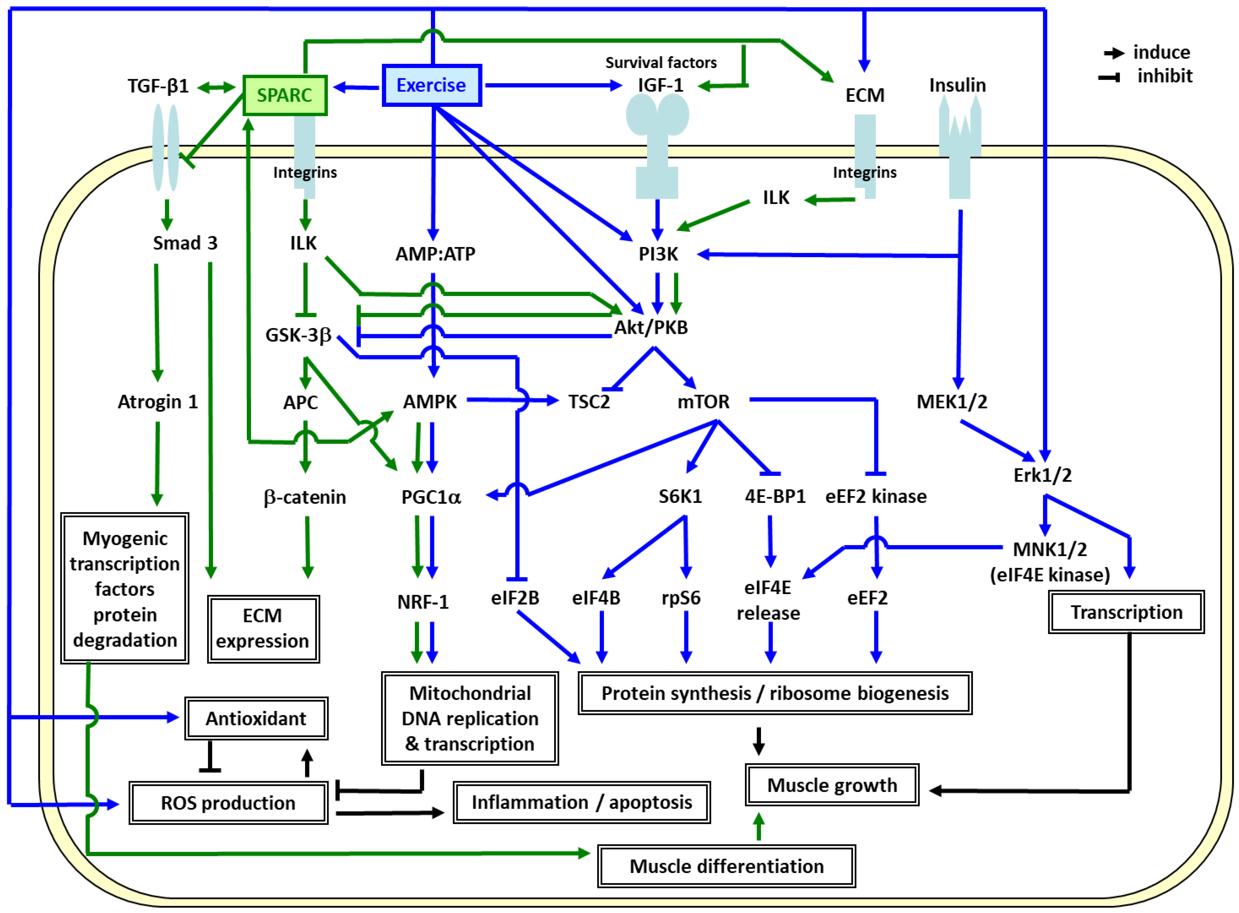 Diseases 11 00033 g002