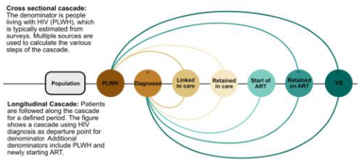 Diseases 11 00035 i015