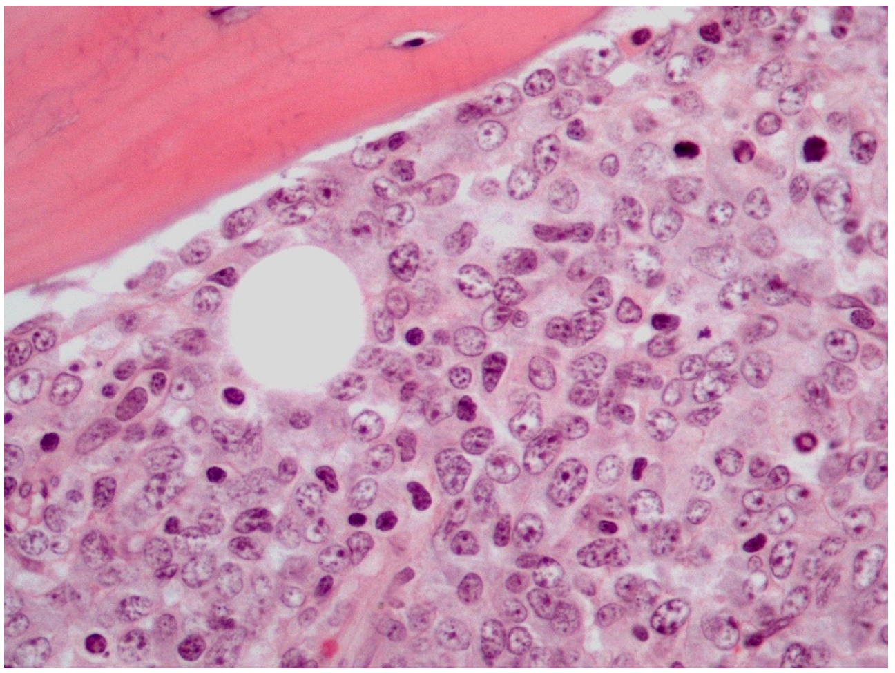 Diseases 11 00042 g001 Diseases 11 00042 g001