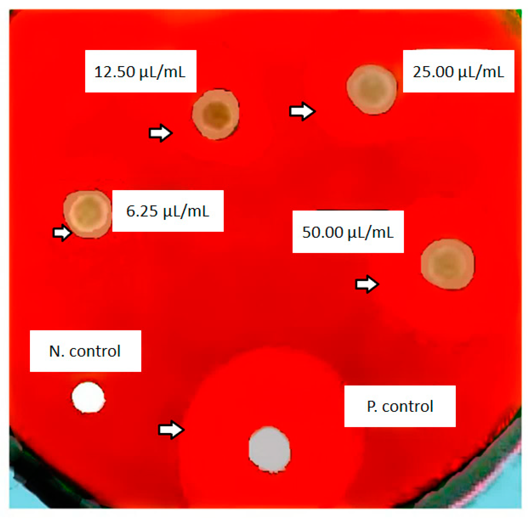 Diseases 11 00048 g006