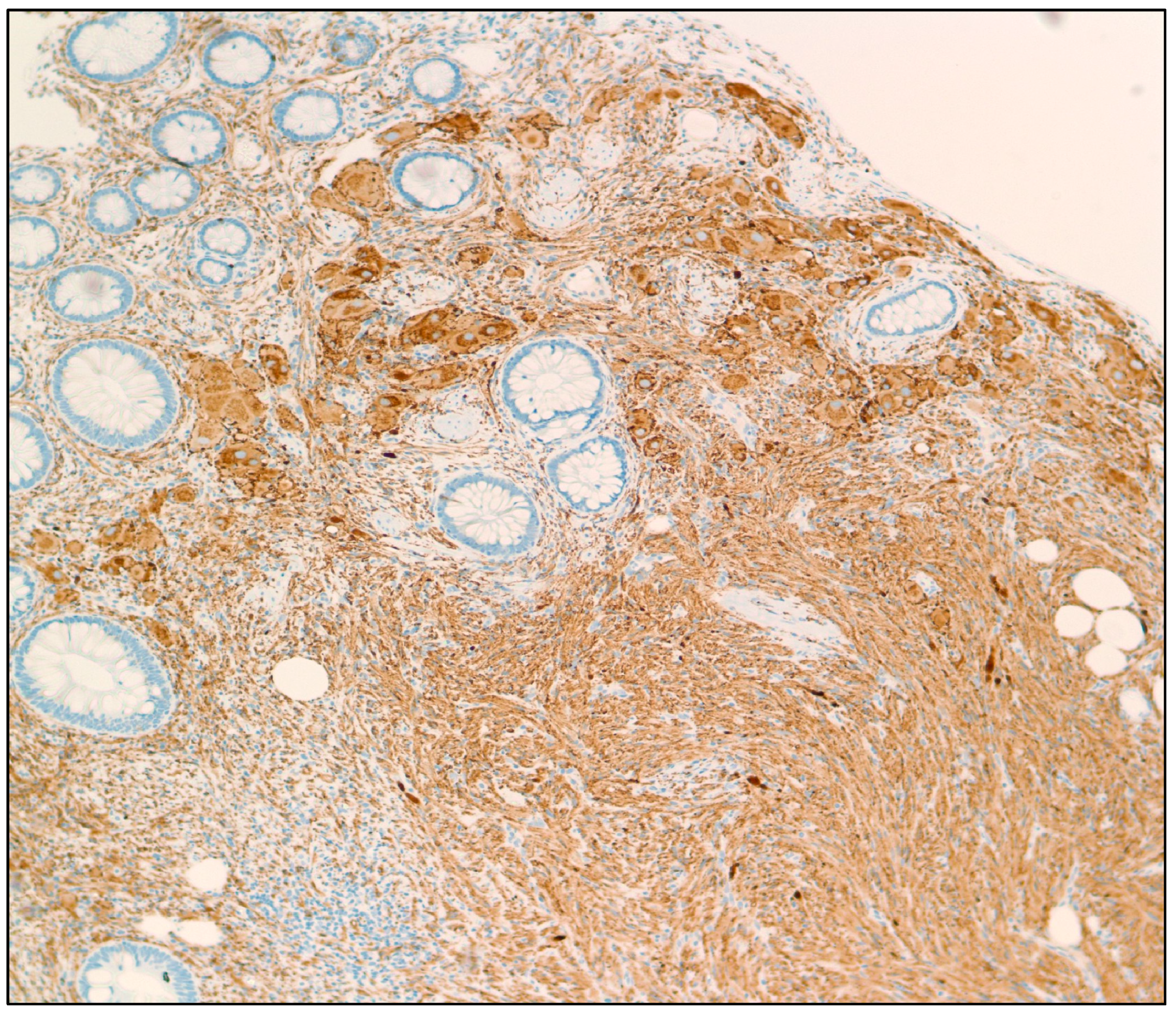 Diseases 11 00069 g002