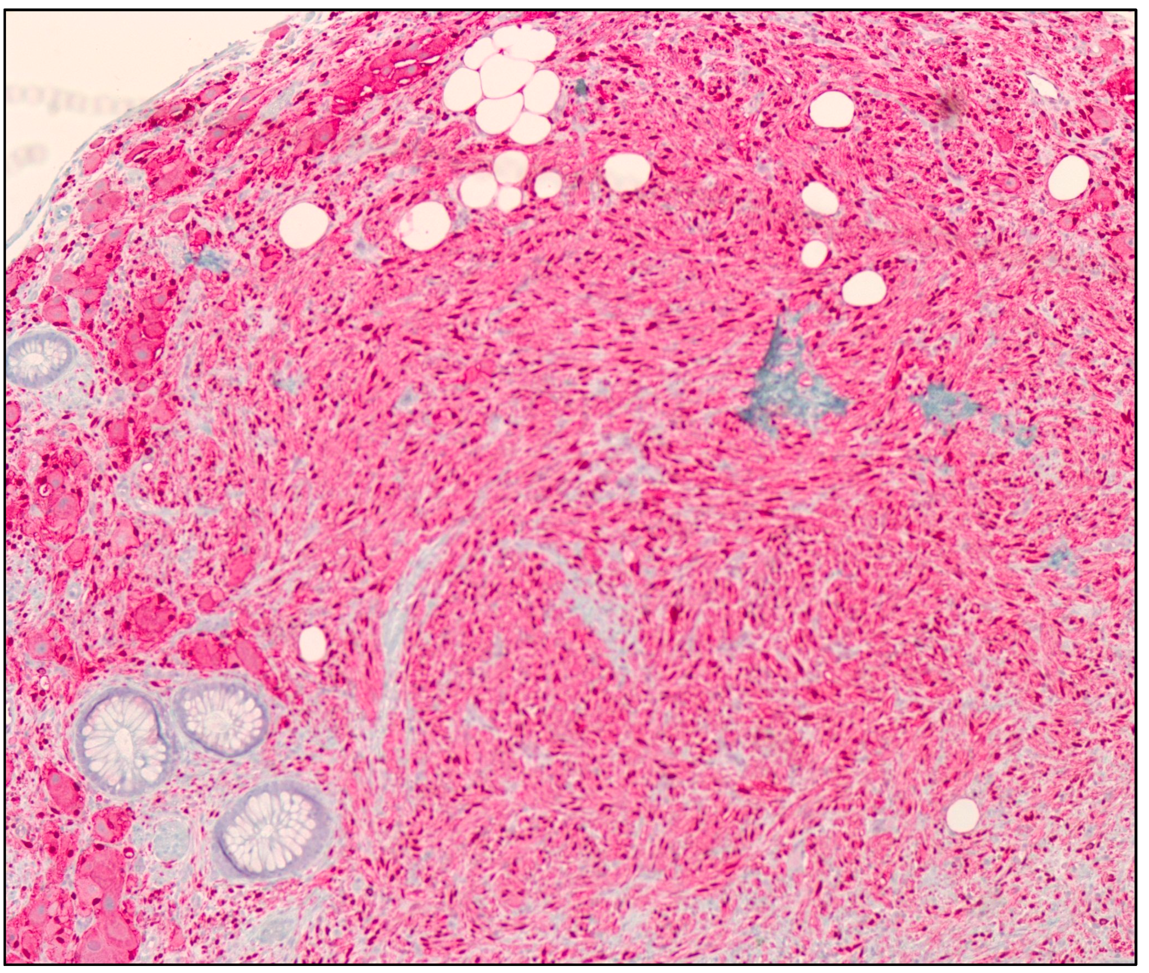 Diseases 11 00069 g003