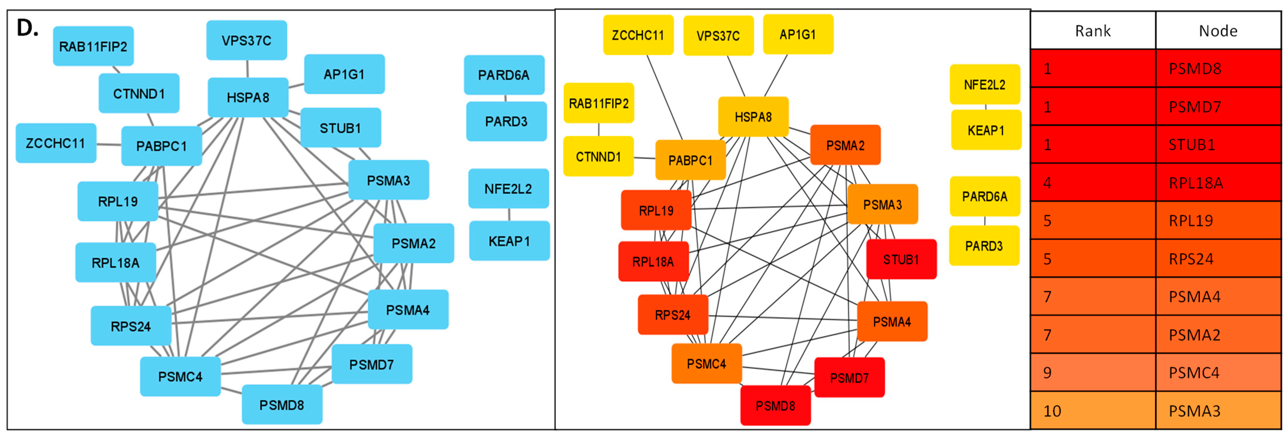 Diseases 11 00072 g004b