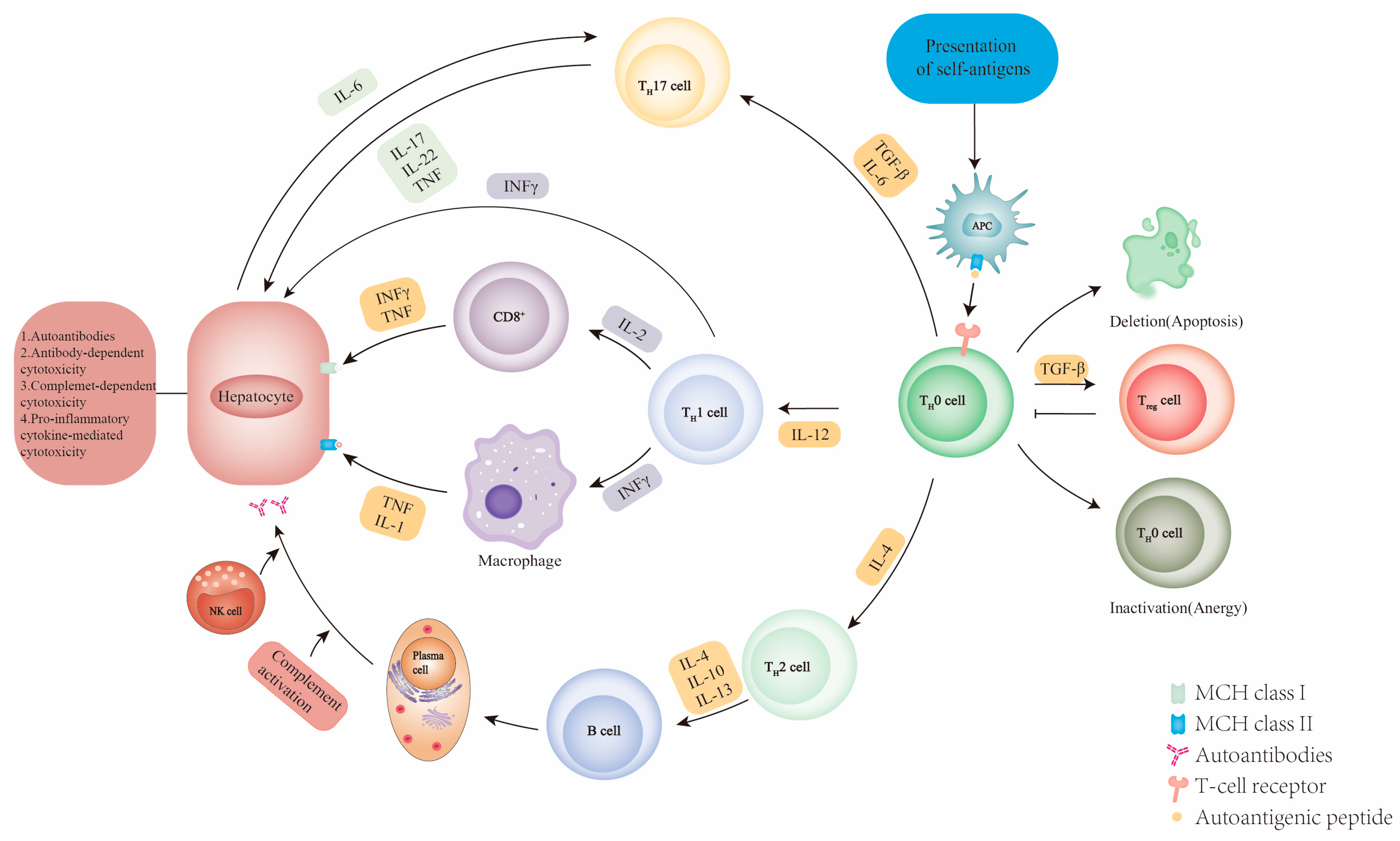 Diseases 11 00080 g004