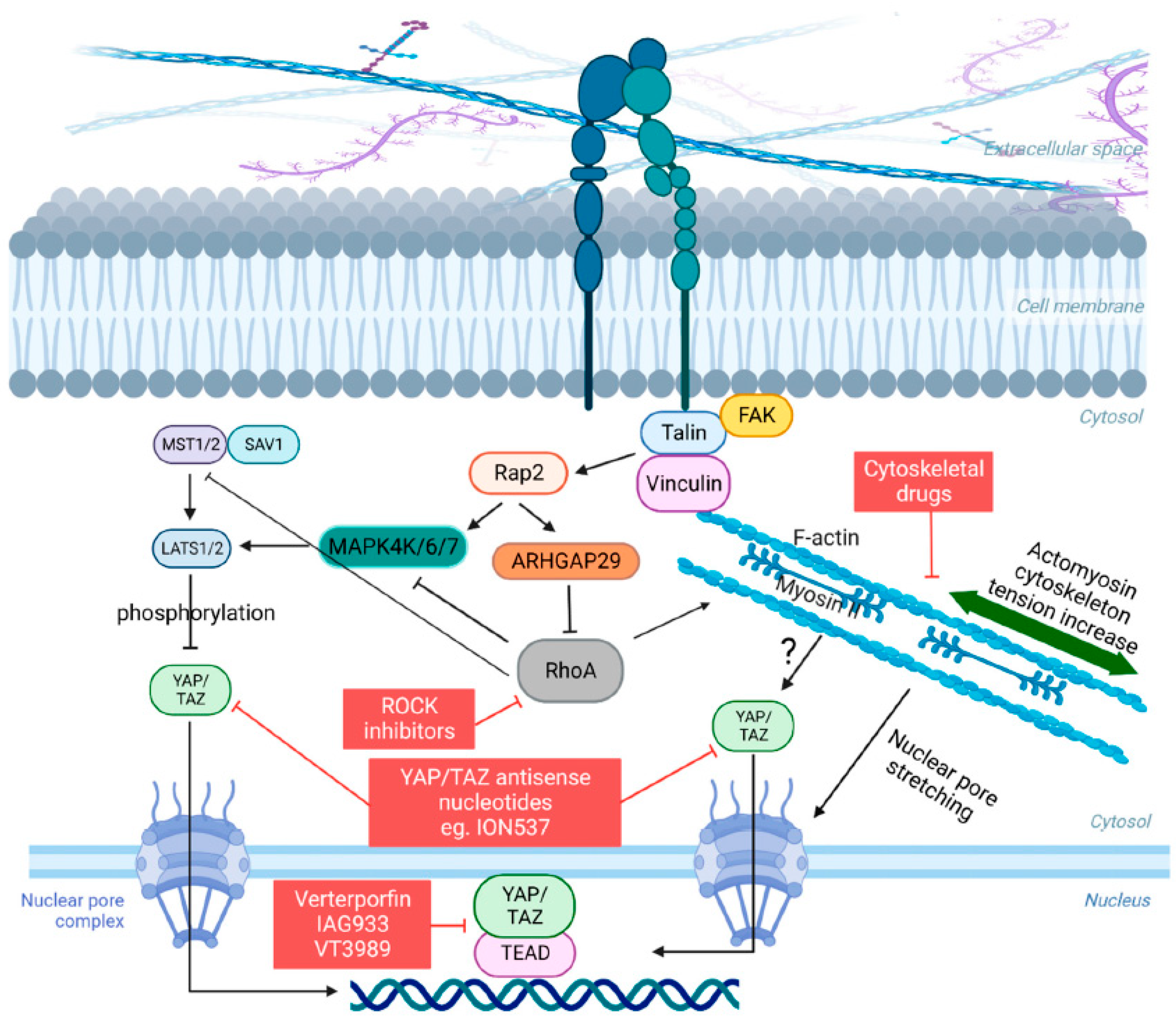 Diseases 11 00086 g001