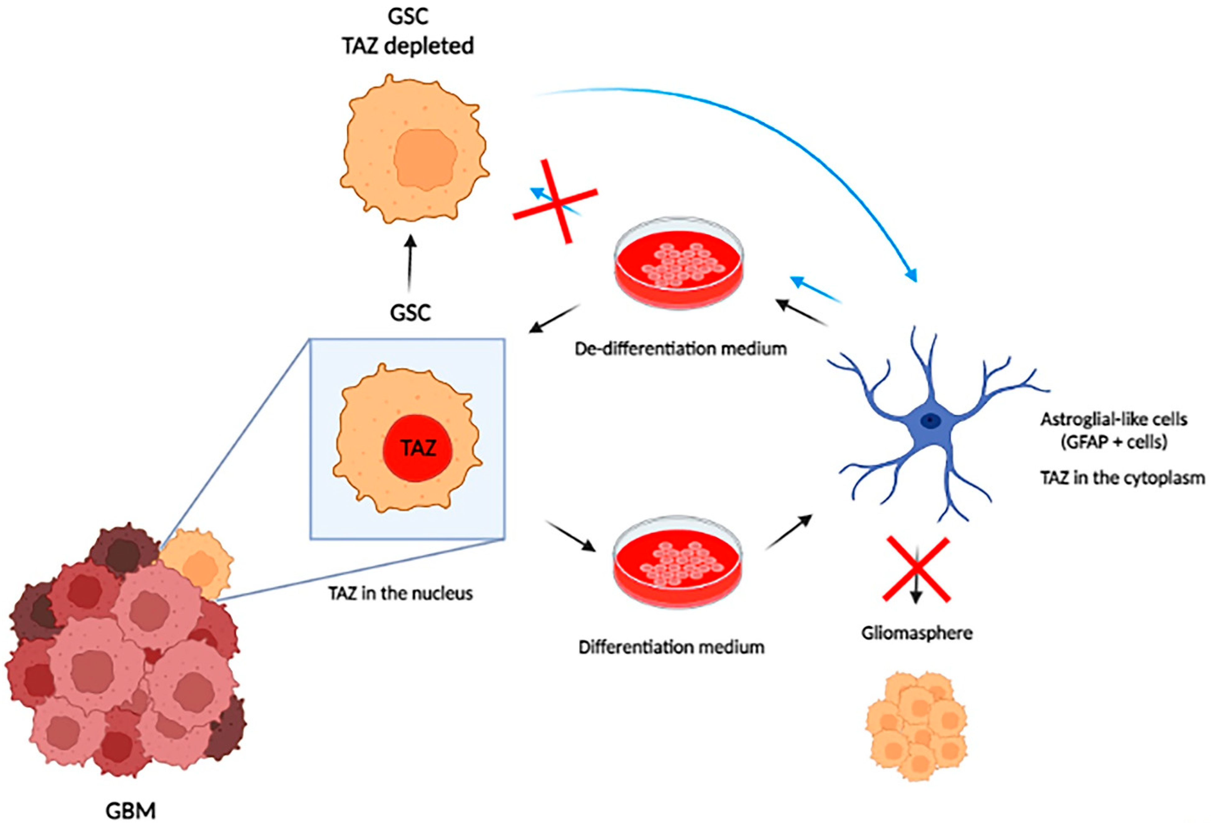 Diseases 11 00086 g002