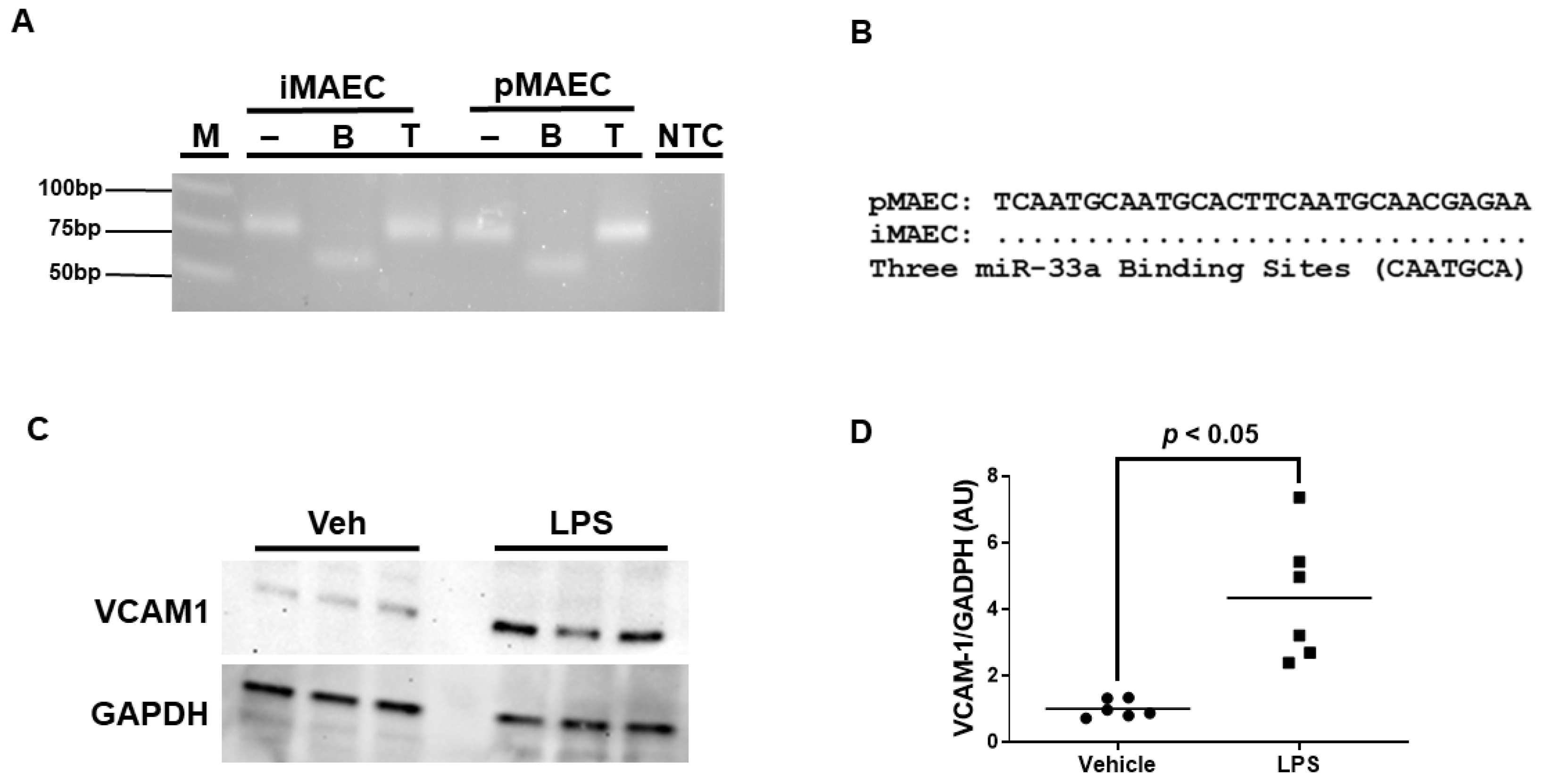 Diseases 11 00088 g001