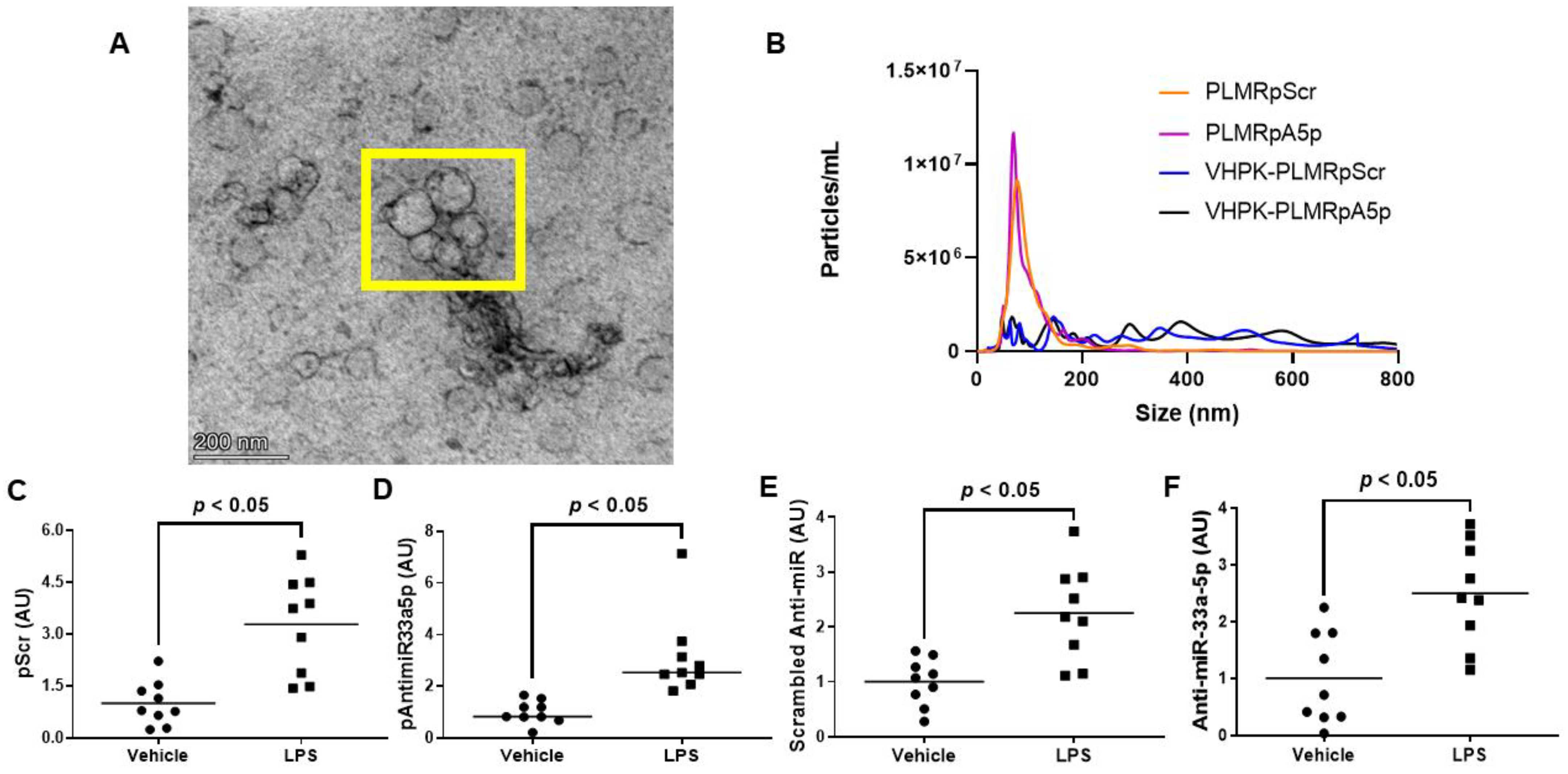 Diseases 11 00088 g003