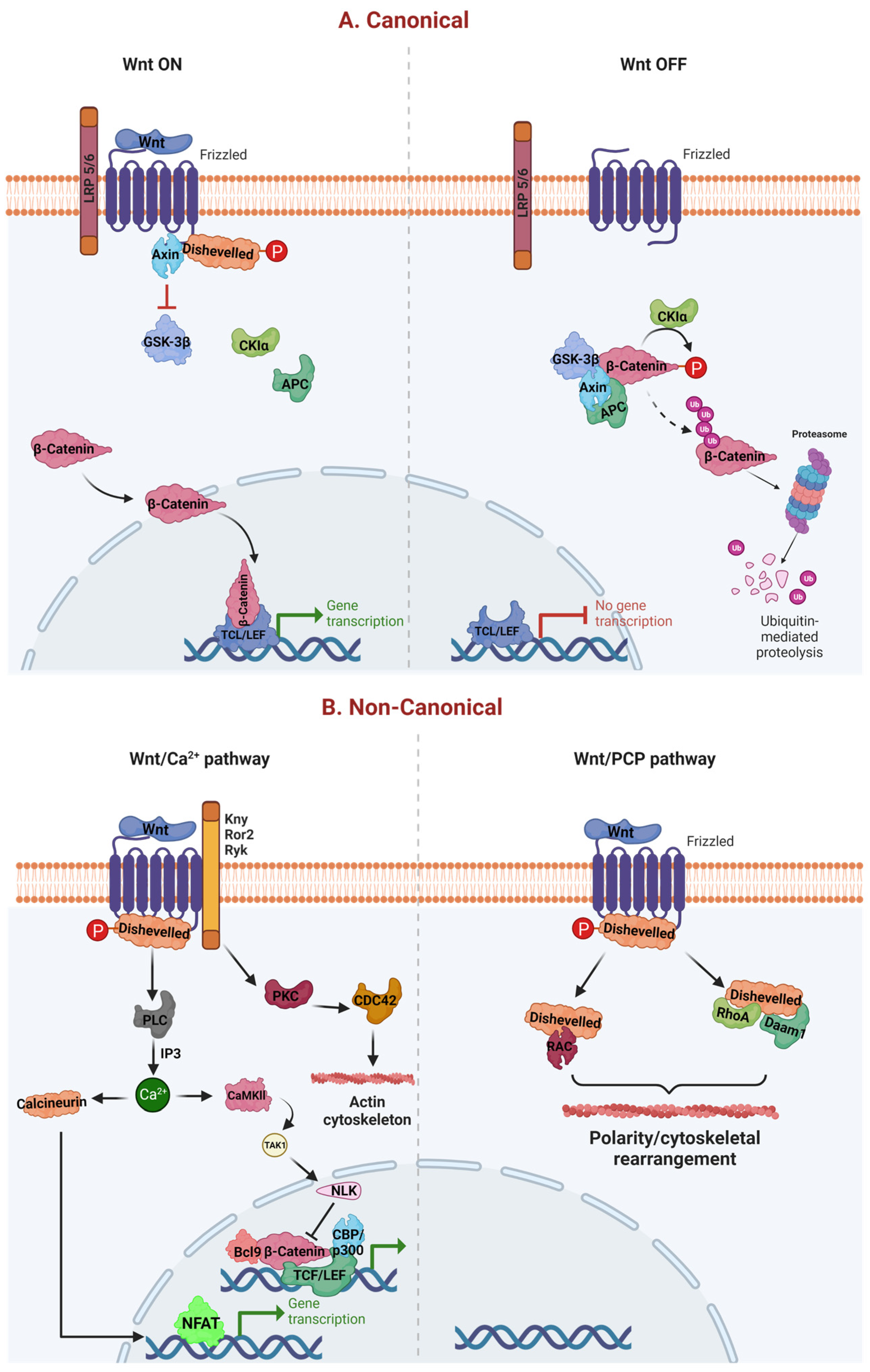 Diseases 11 00089 g001