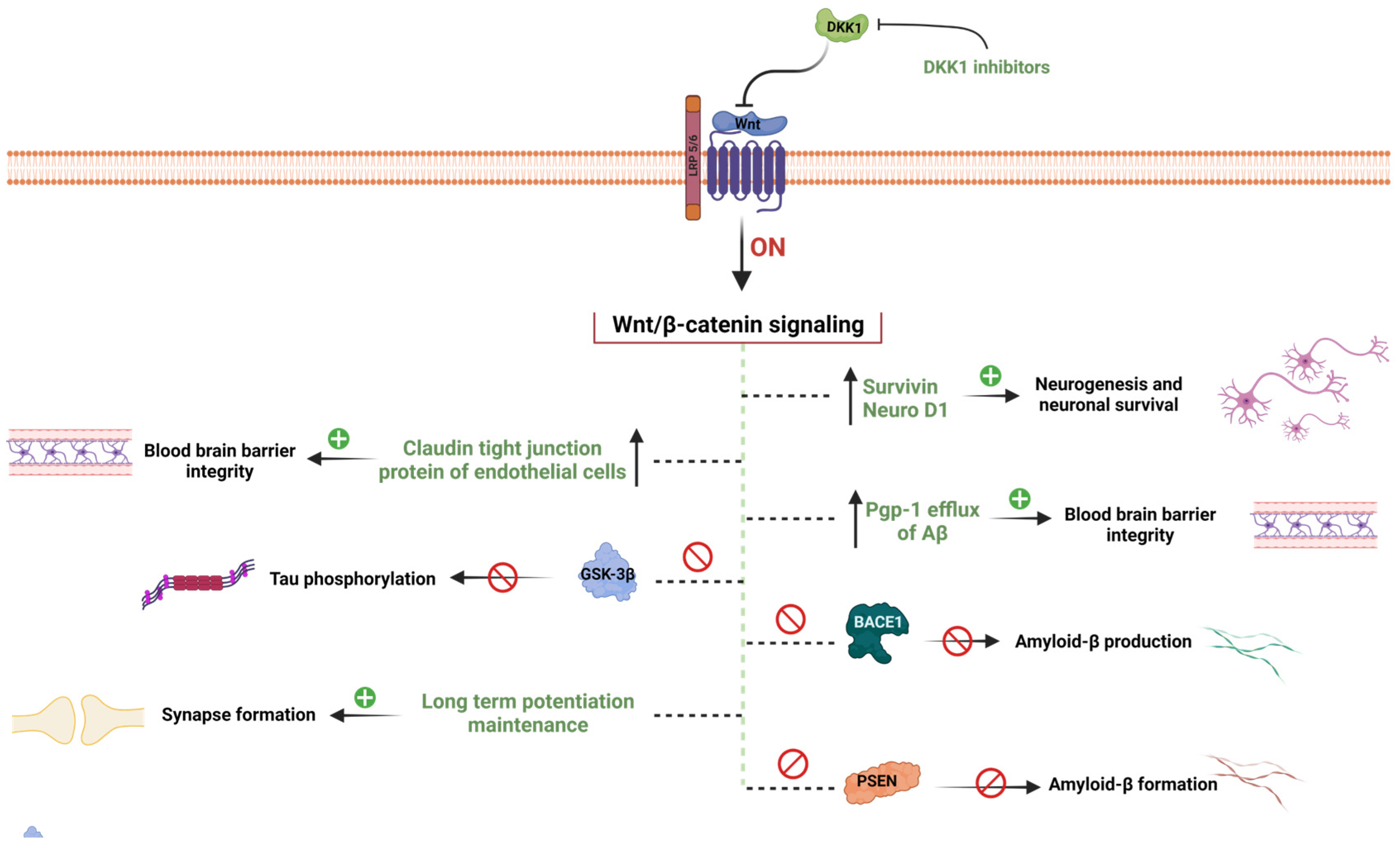 Diseases 11 00089 g002