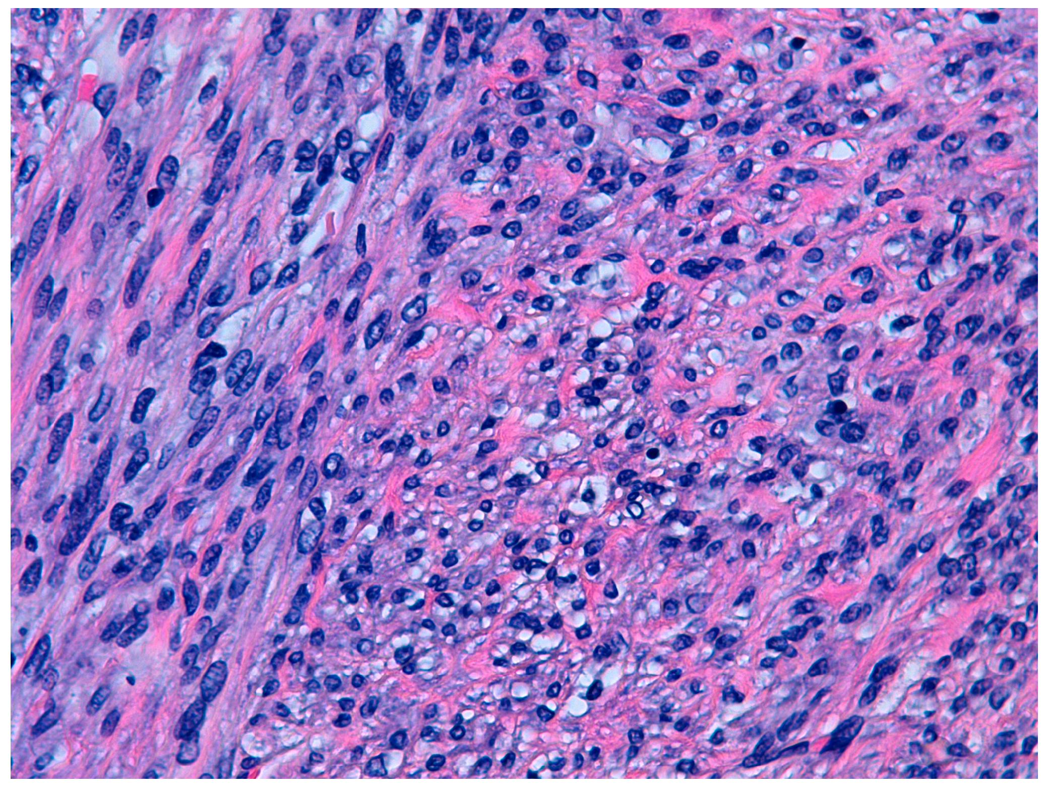 Diseases 11 00099 g002