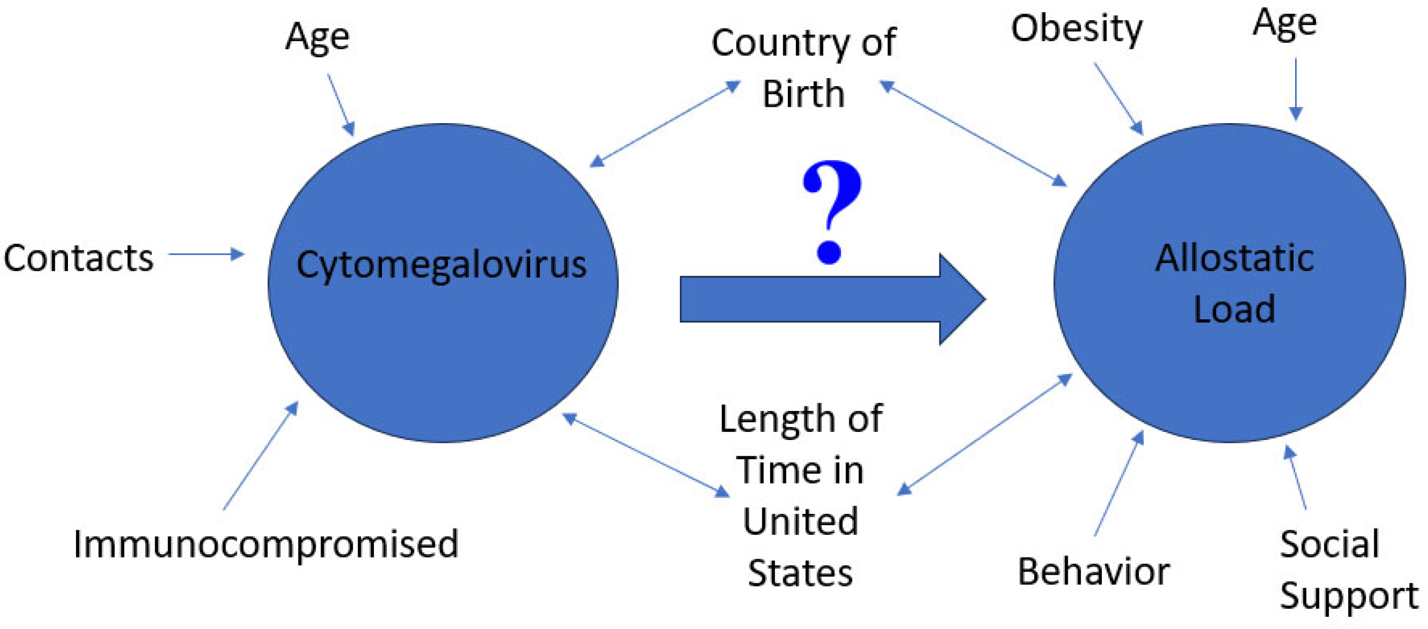 Diseases 11 00101 g001