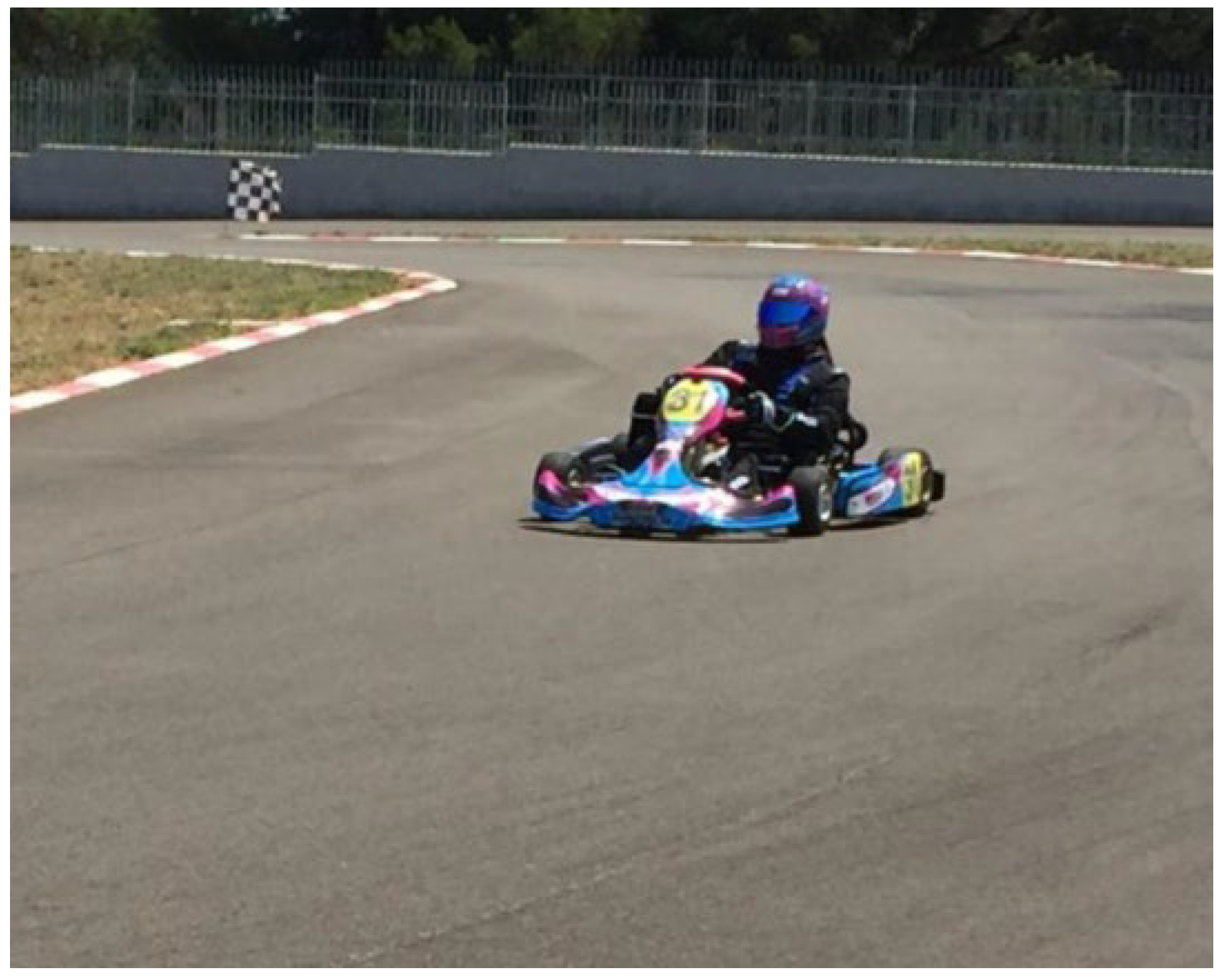 Diseases 11 00107 g001