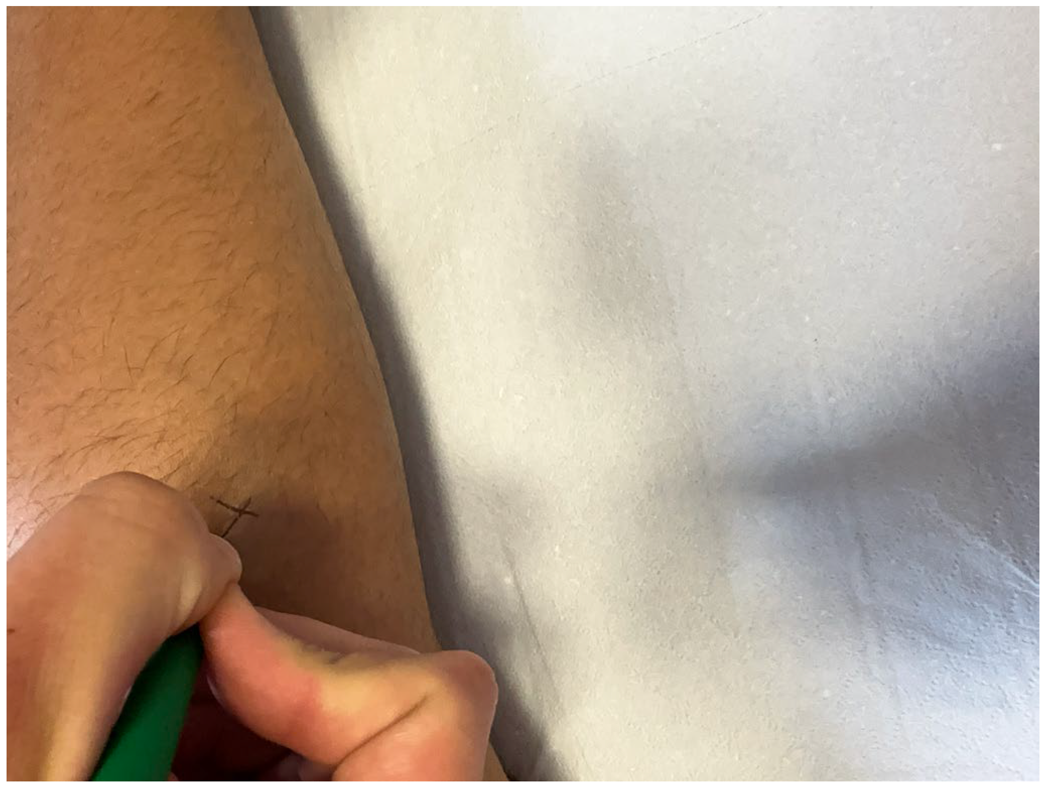 Diseases 11 00107 g003