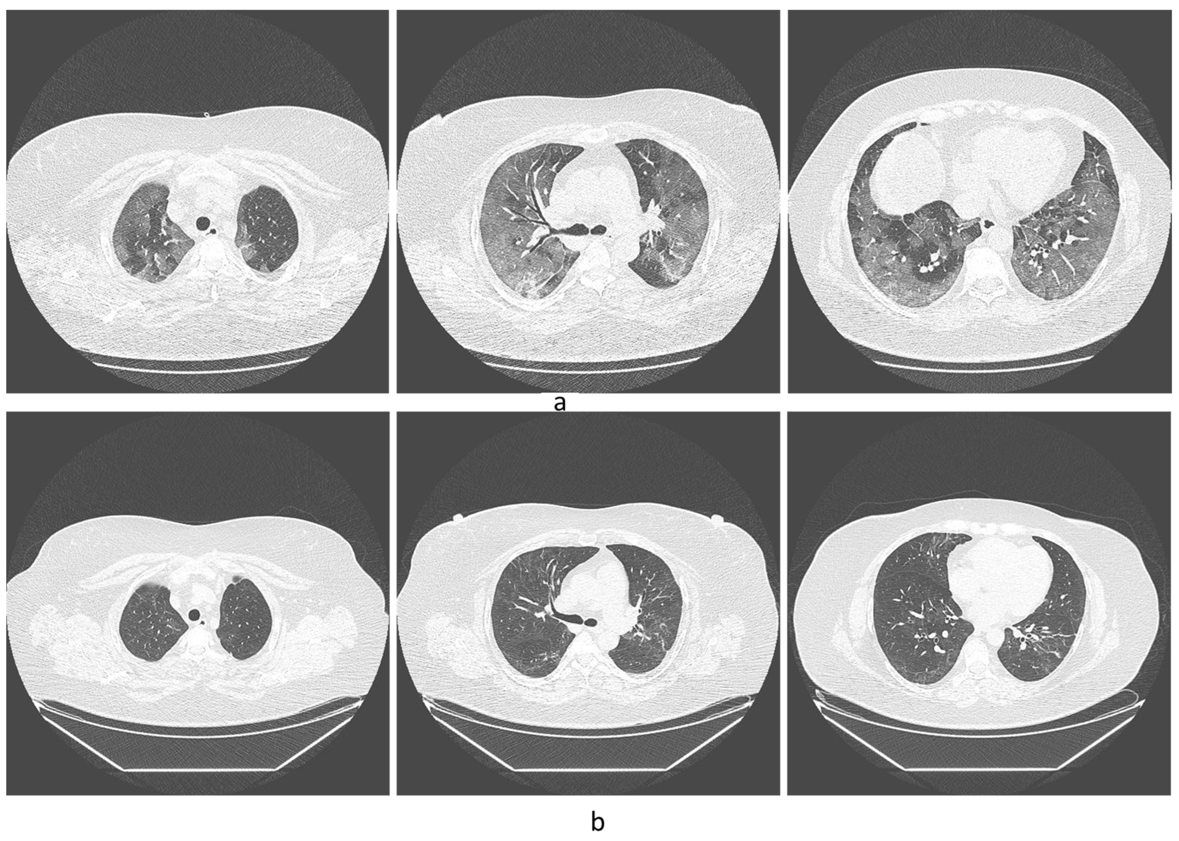 Diseases 11 00113 g001