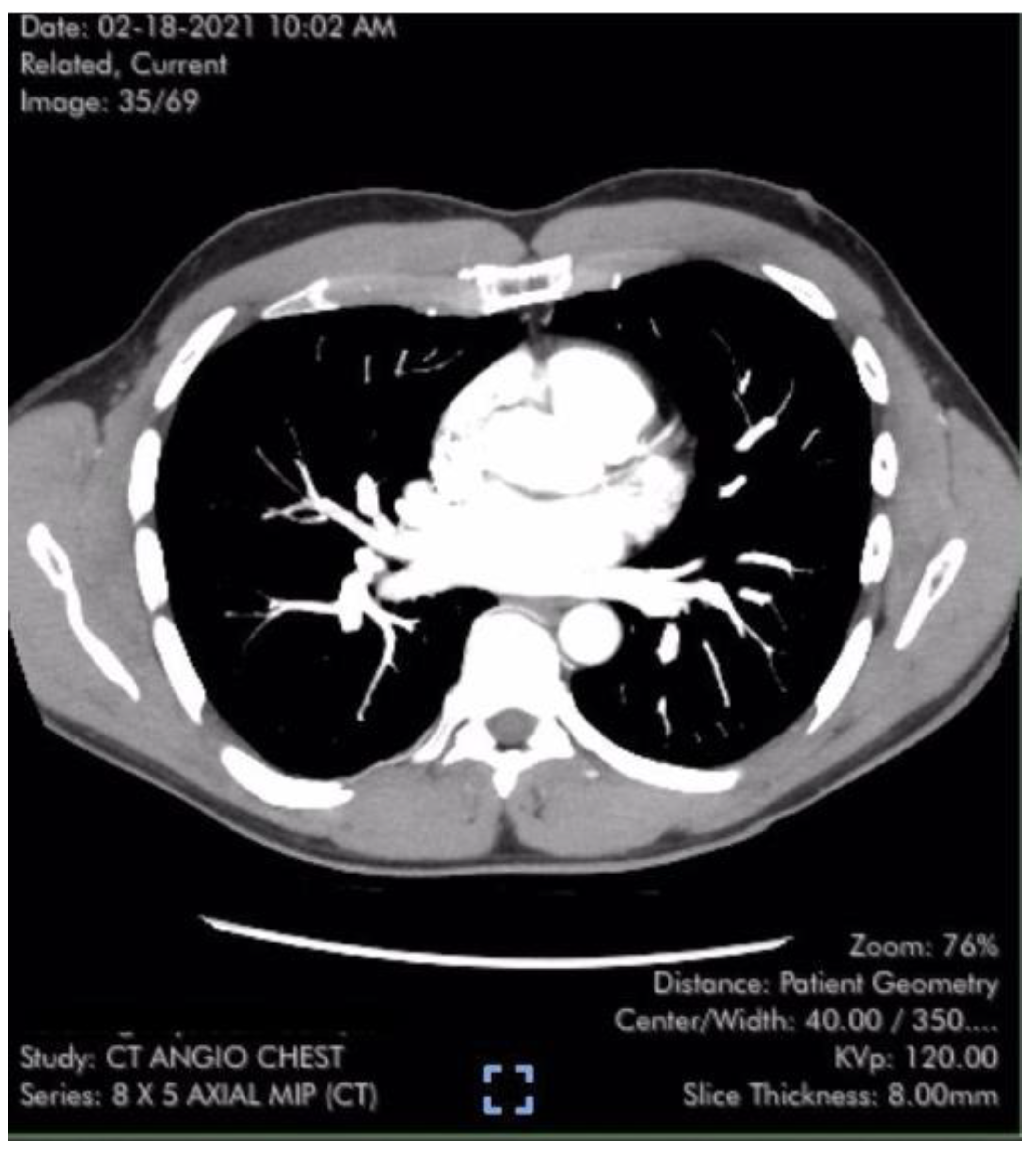 Diseases 11 00114 g001