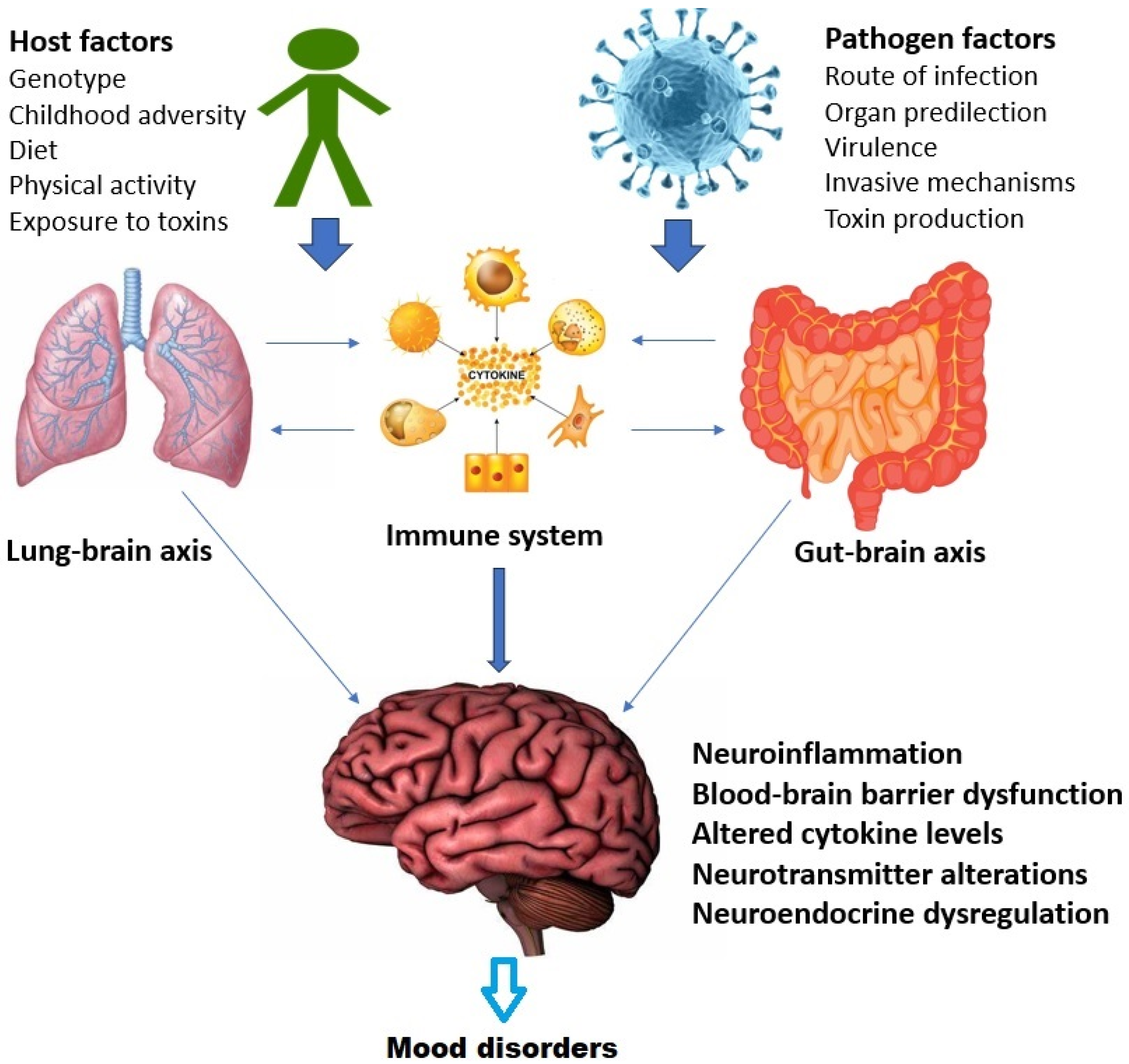 Diseases 11 00116 g002