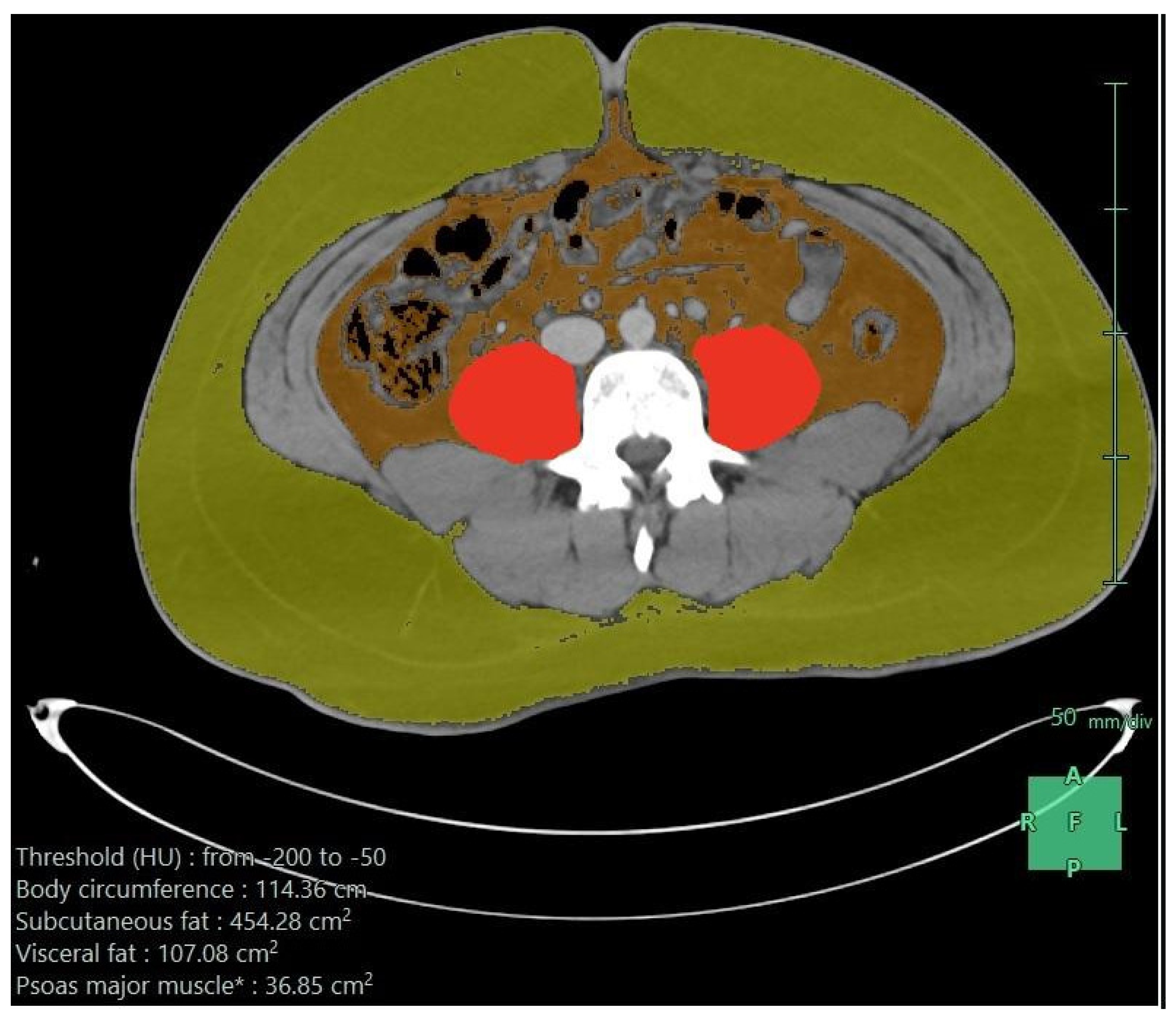 Diseases 11 00120 g001