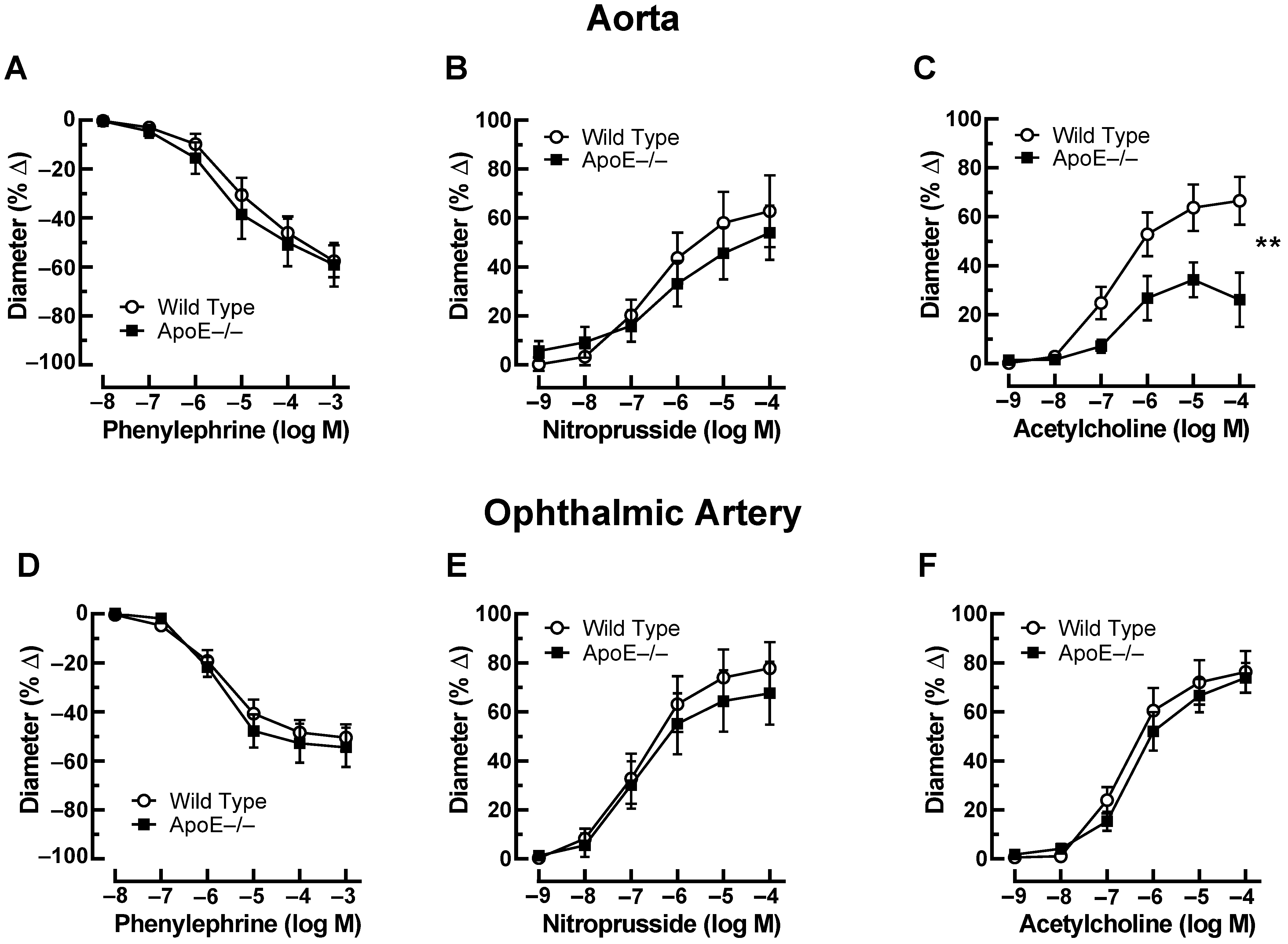 Diseases 11 00124 g001