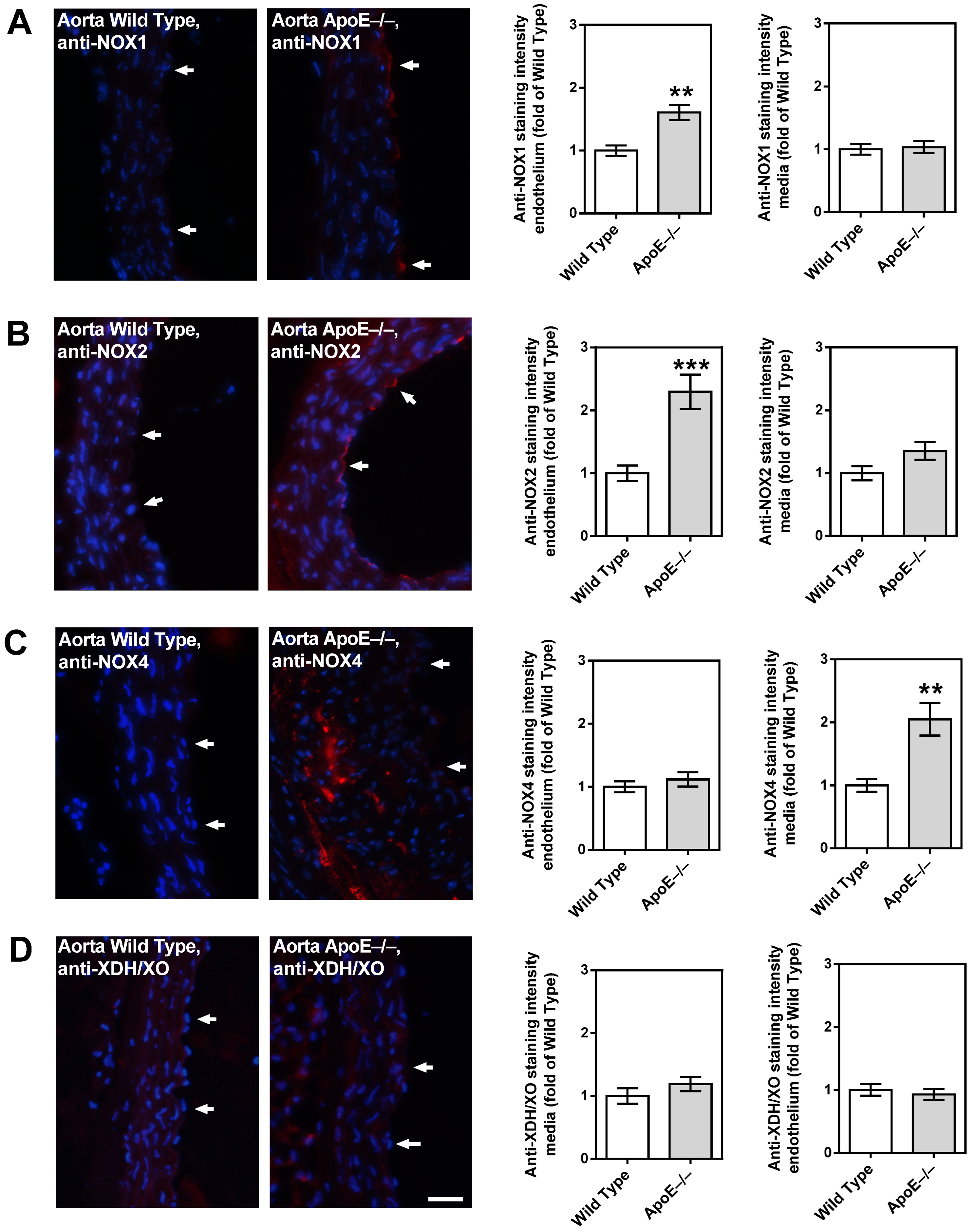Diseases 11 00124 g006