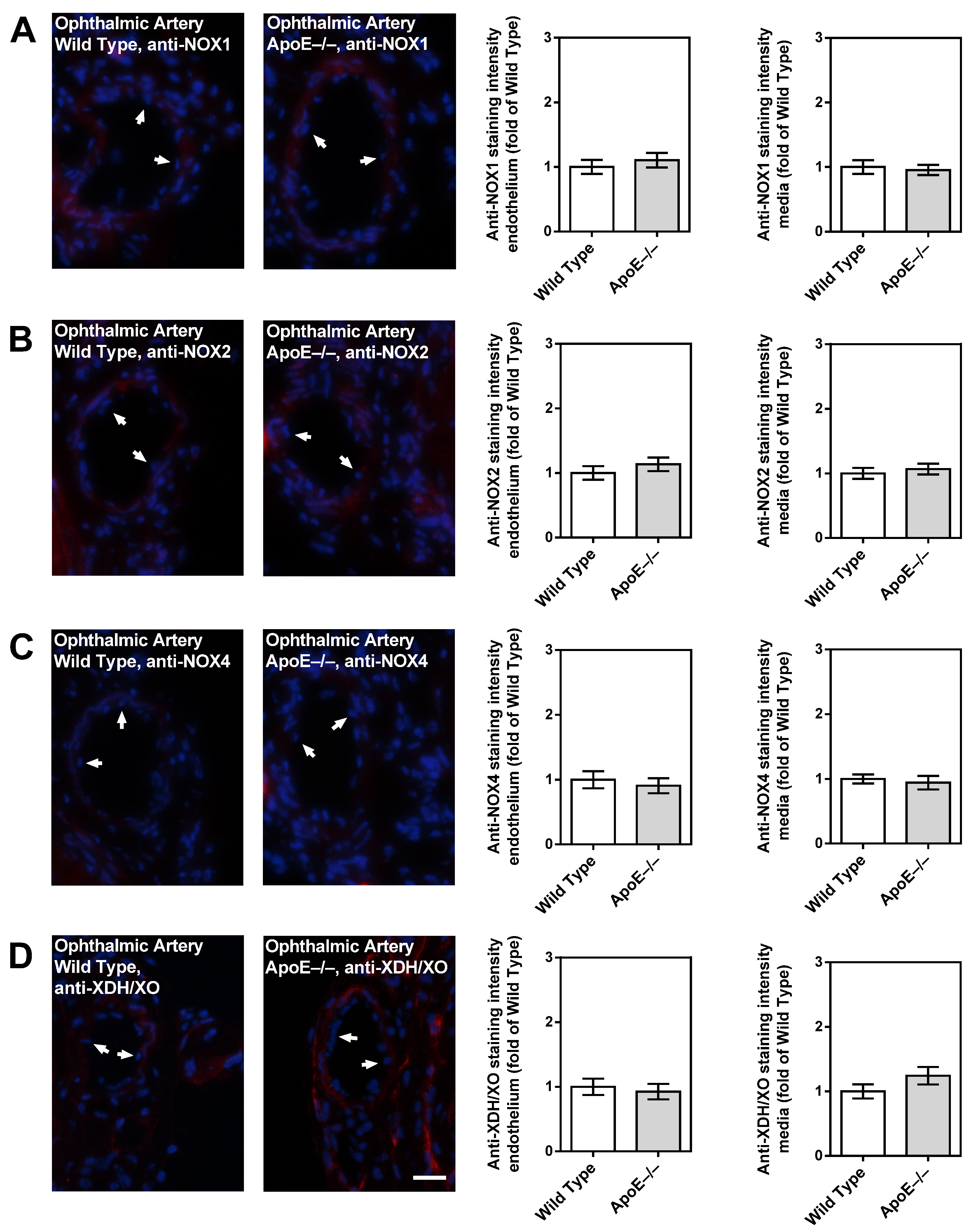 Diseases 11 00124 g007