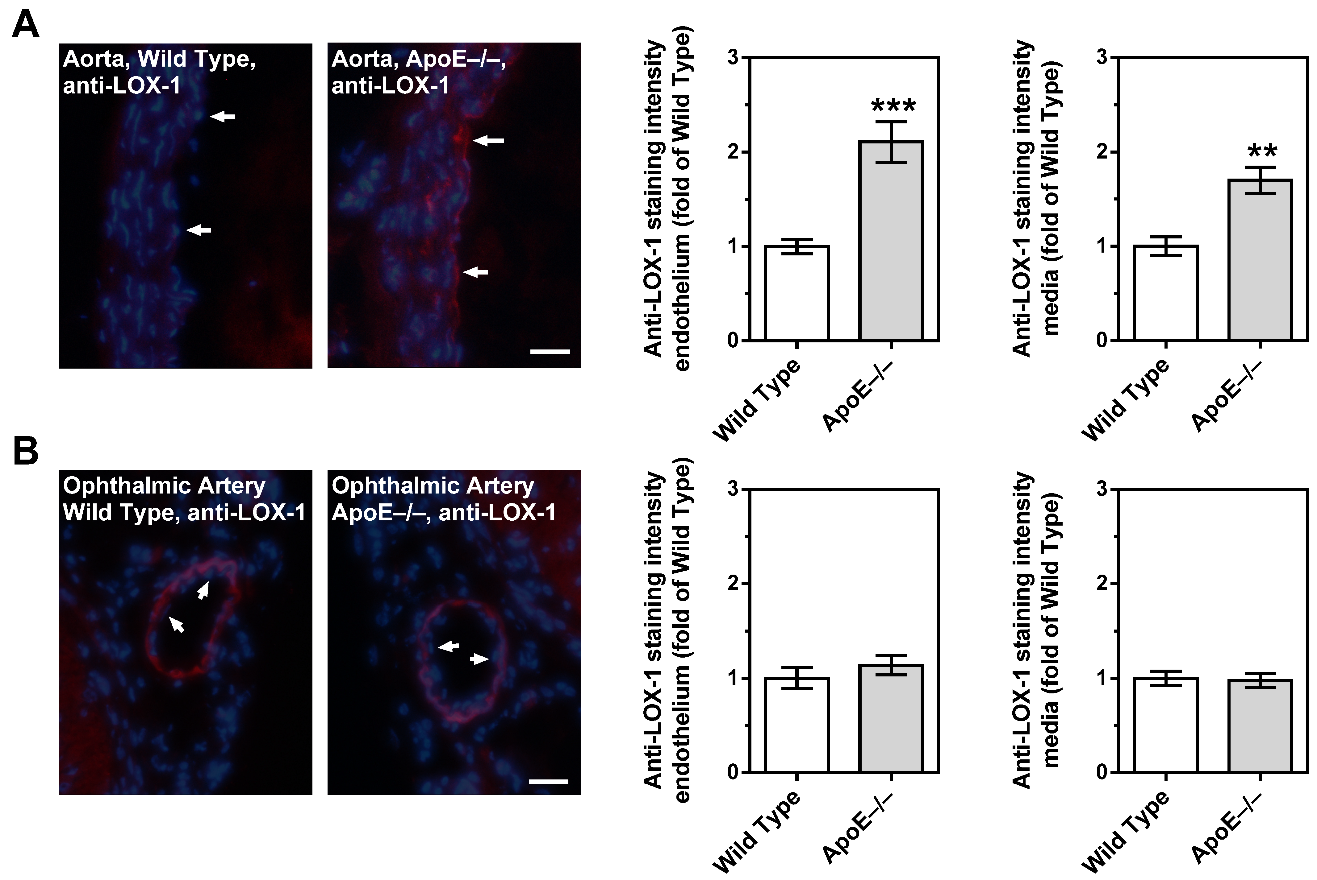 Diseases 11 00124 g008