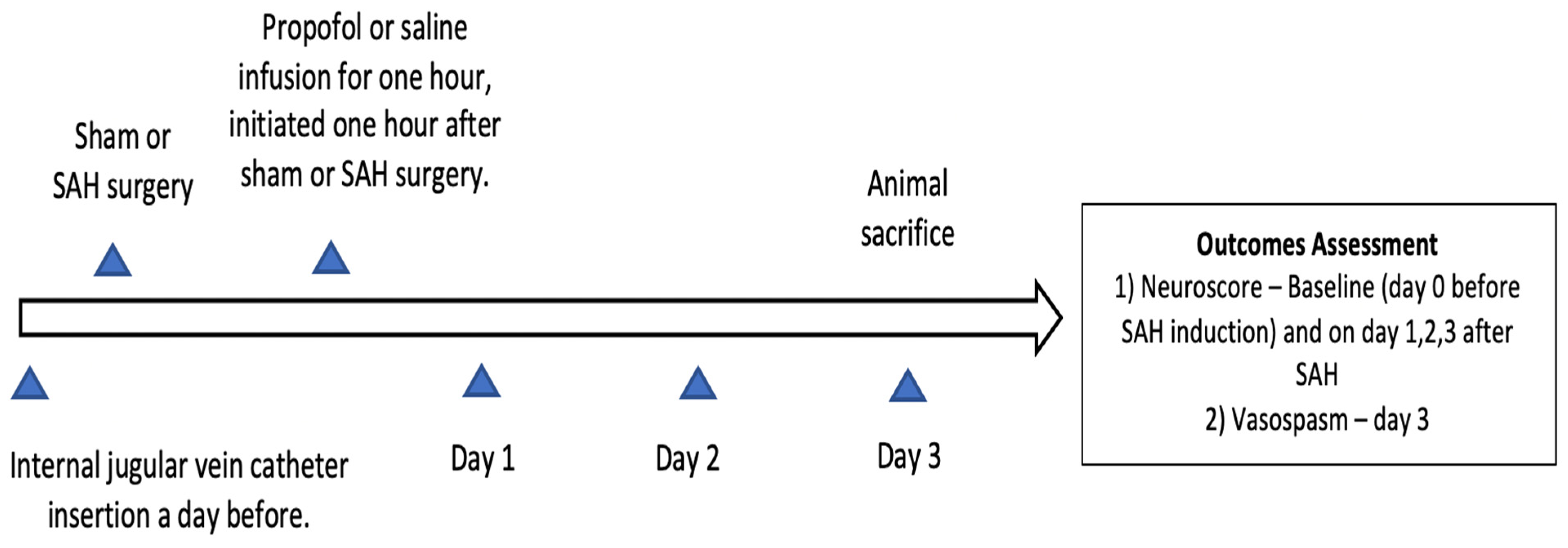 Diseases 11 00130 g001