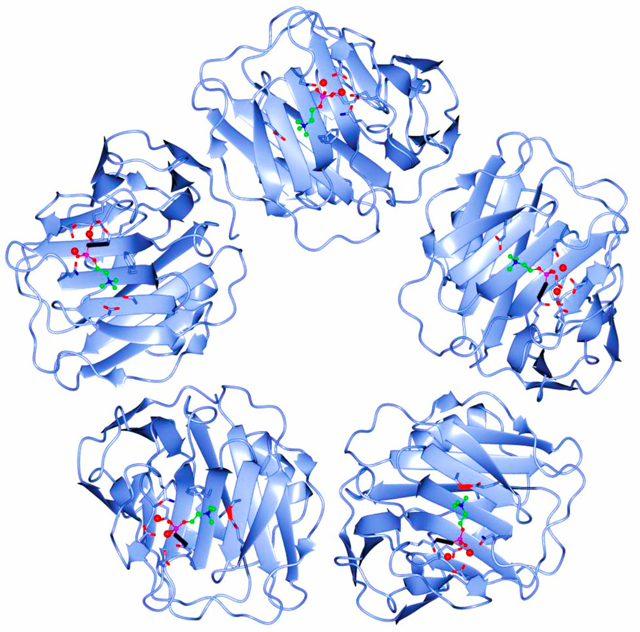 Diseases 11 00132 g001