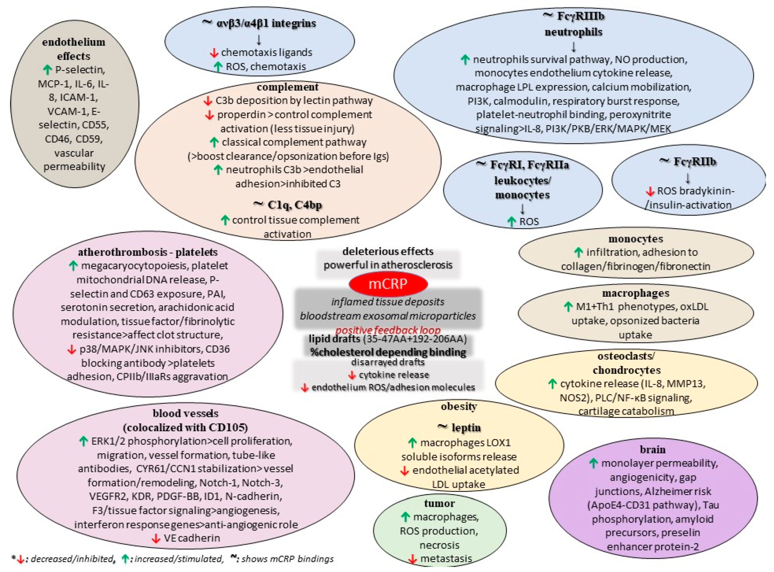 Diseases 11 00132 g002