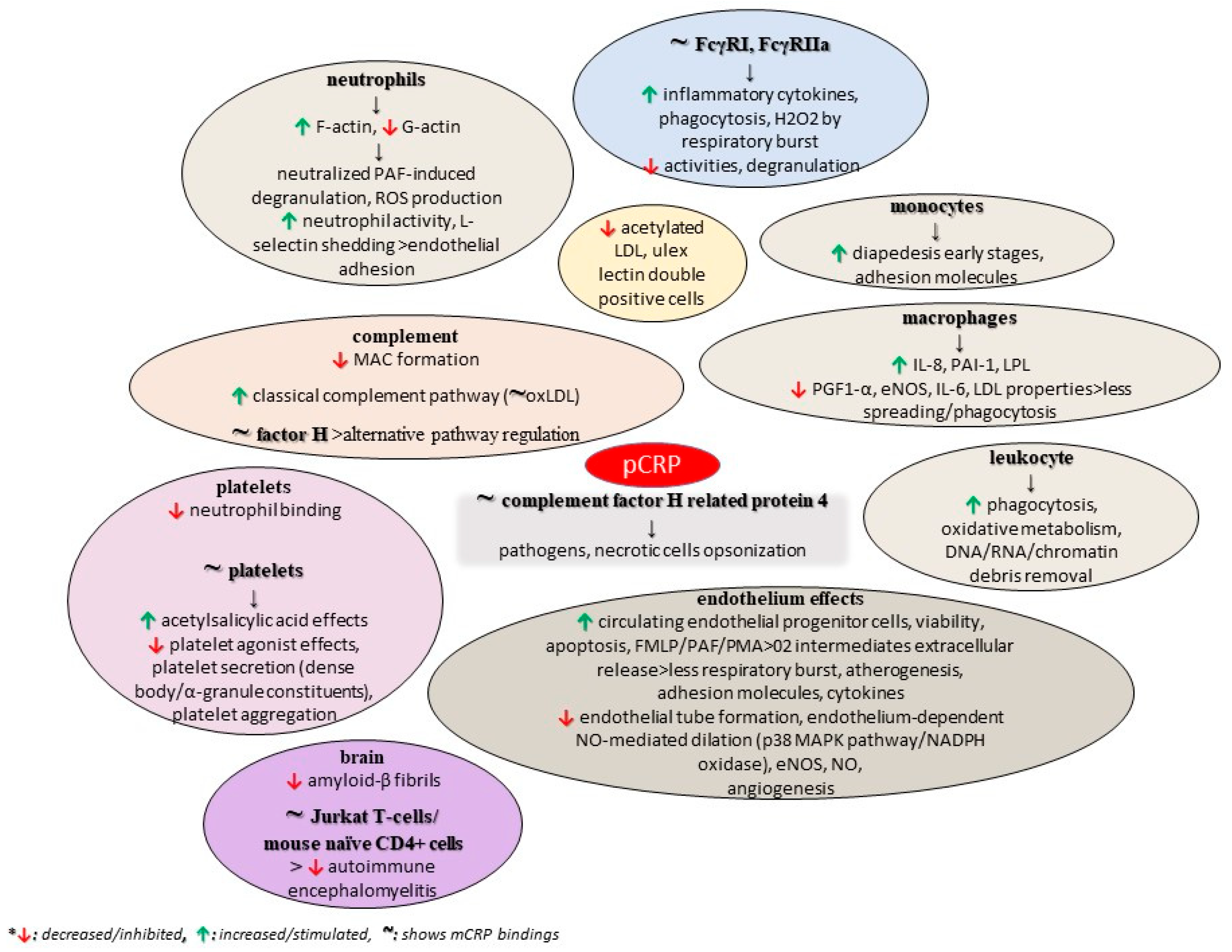 Diseases 11 00132 g003