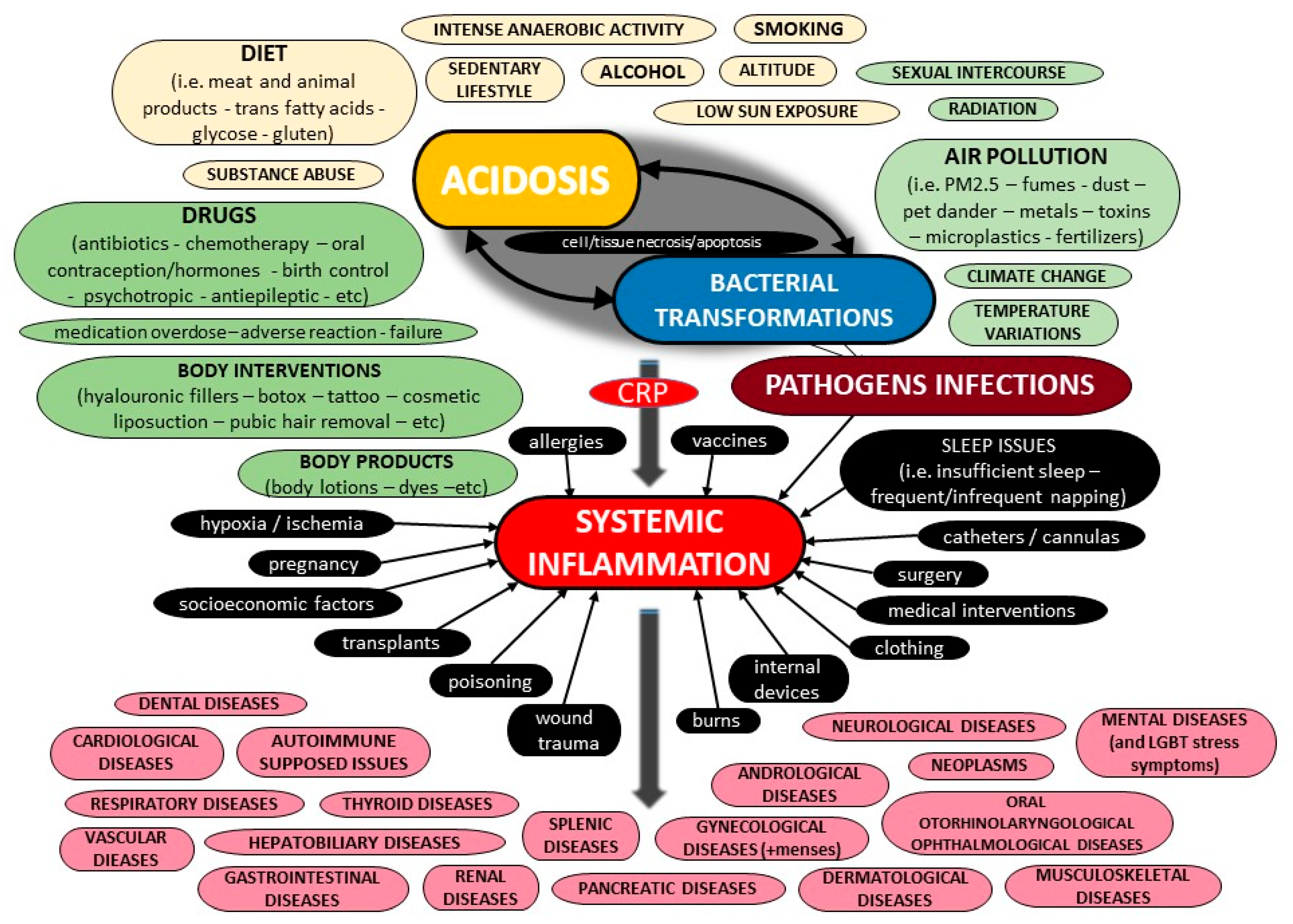 Diseases 11 00132 g005