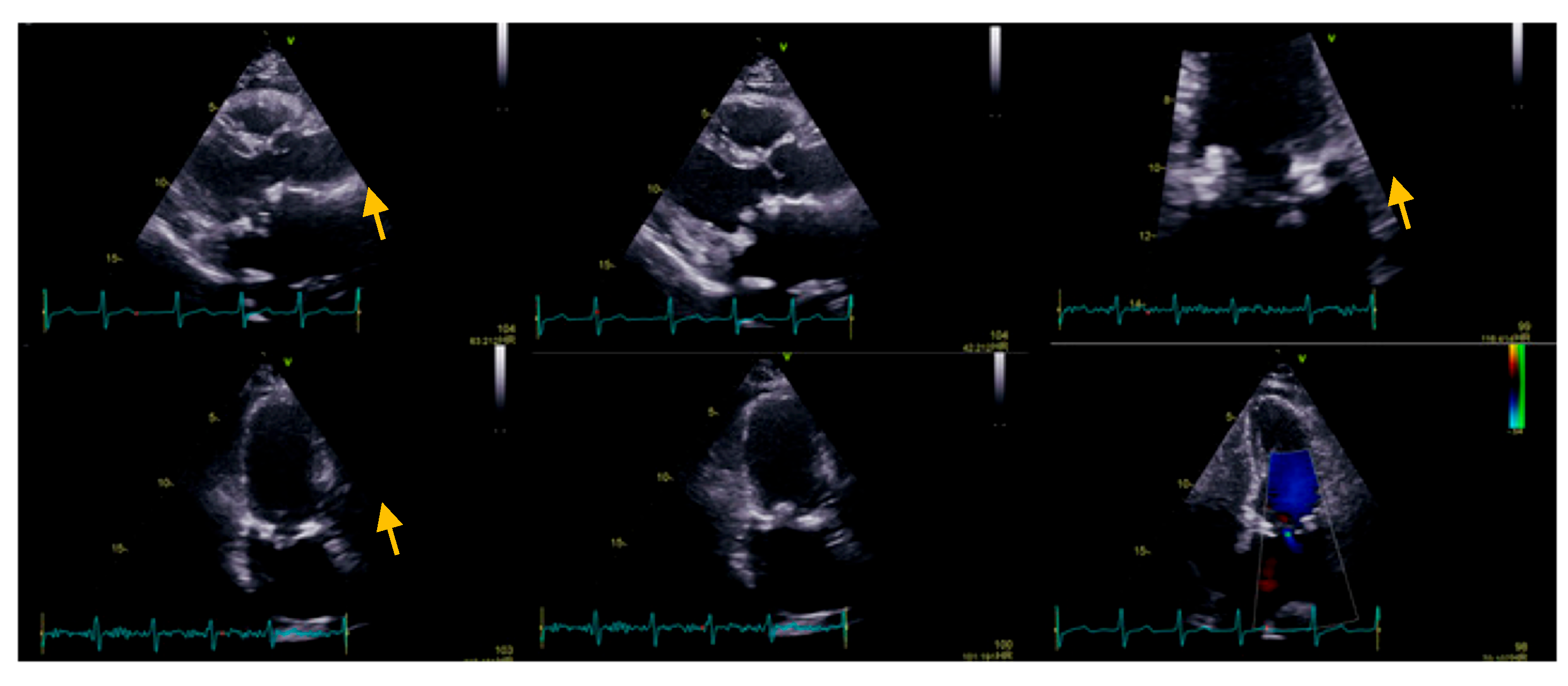 Diseases 11 00133 g001