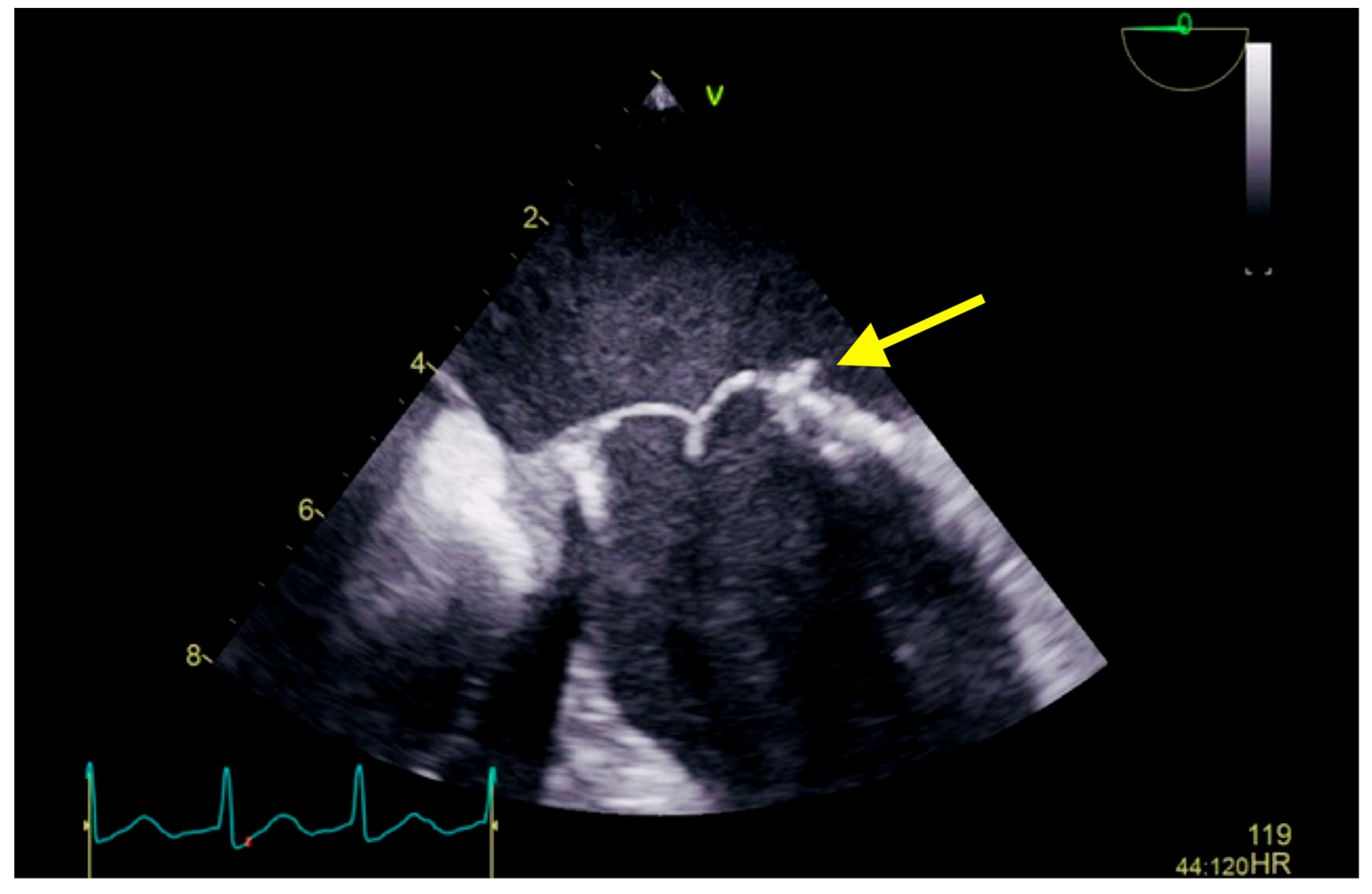 Diseases 11 00133 g003