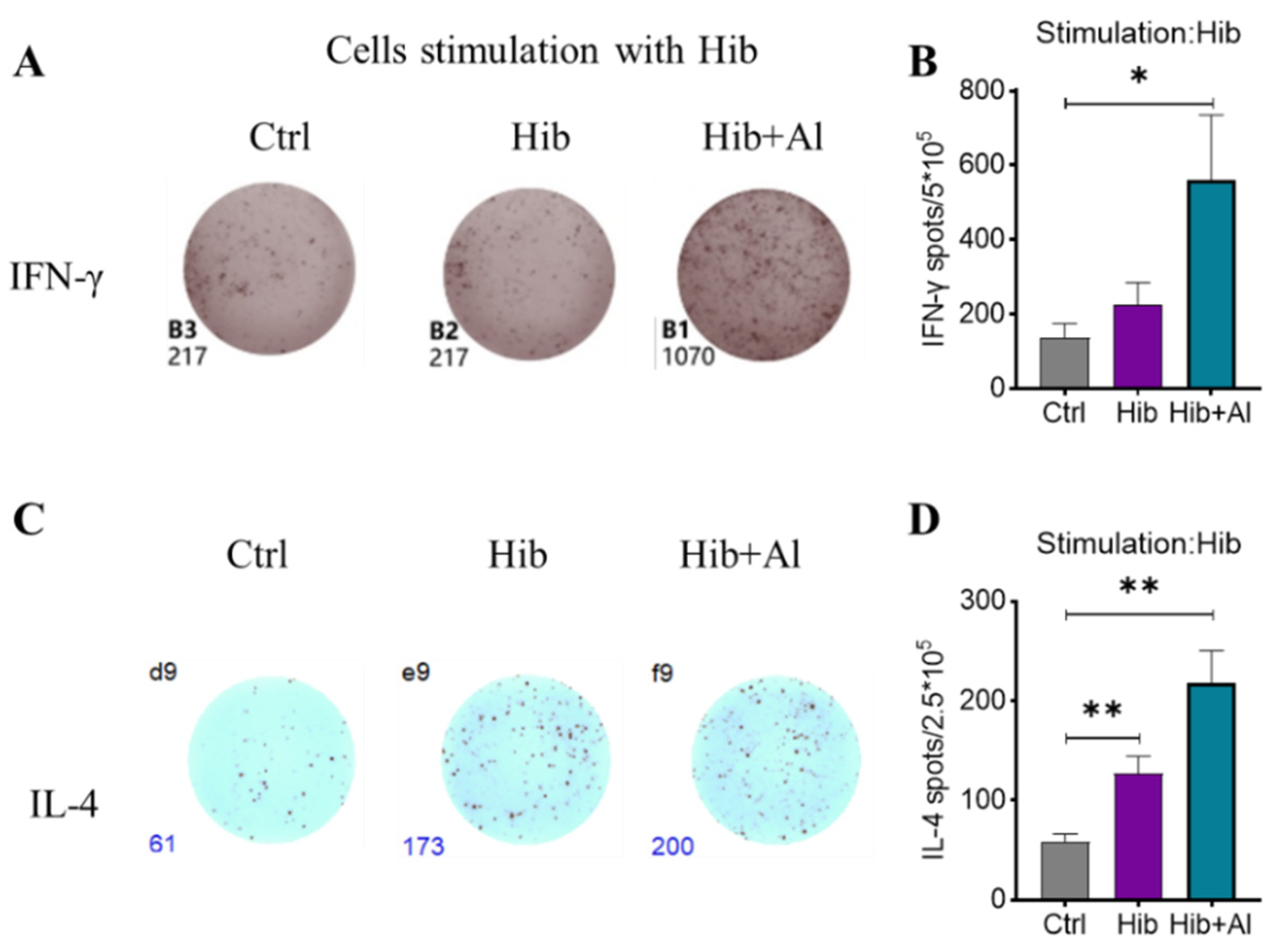 Diseases 11 00139 g003