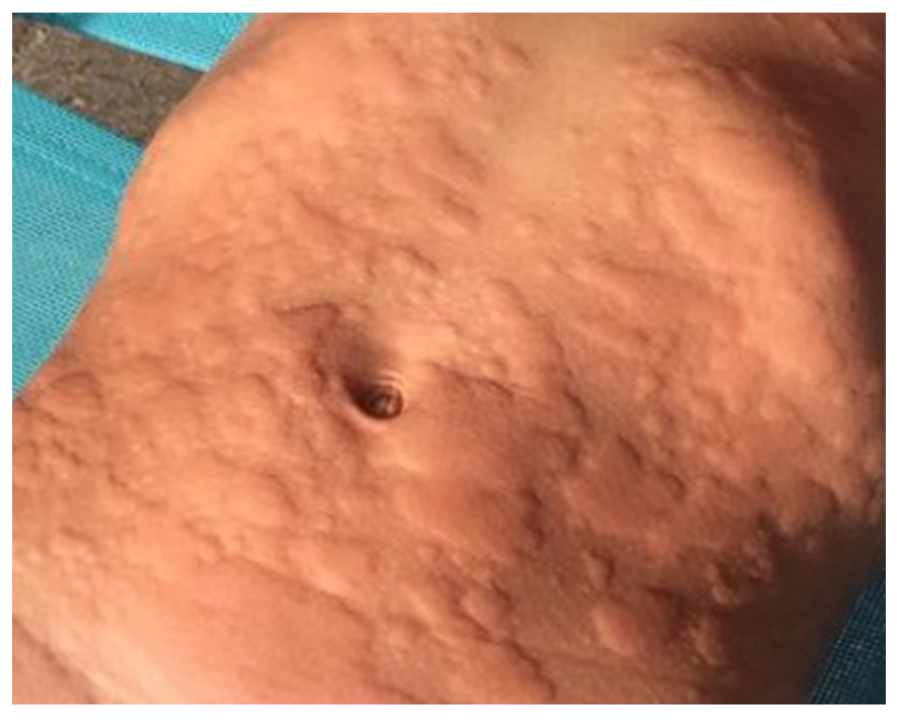 Diseases 11 00143 g001