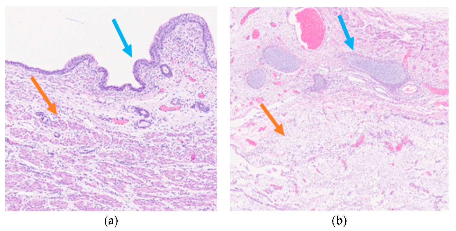 Diseases 11 00144 g003