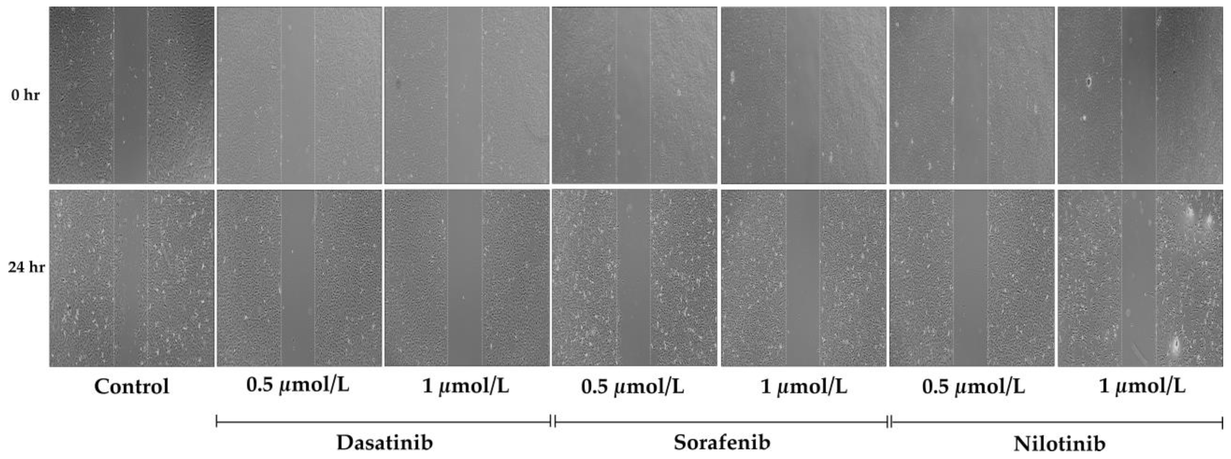Diseases 11 00147 g004