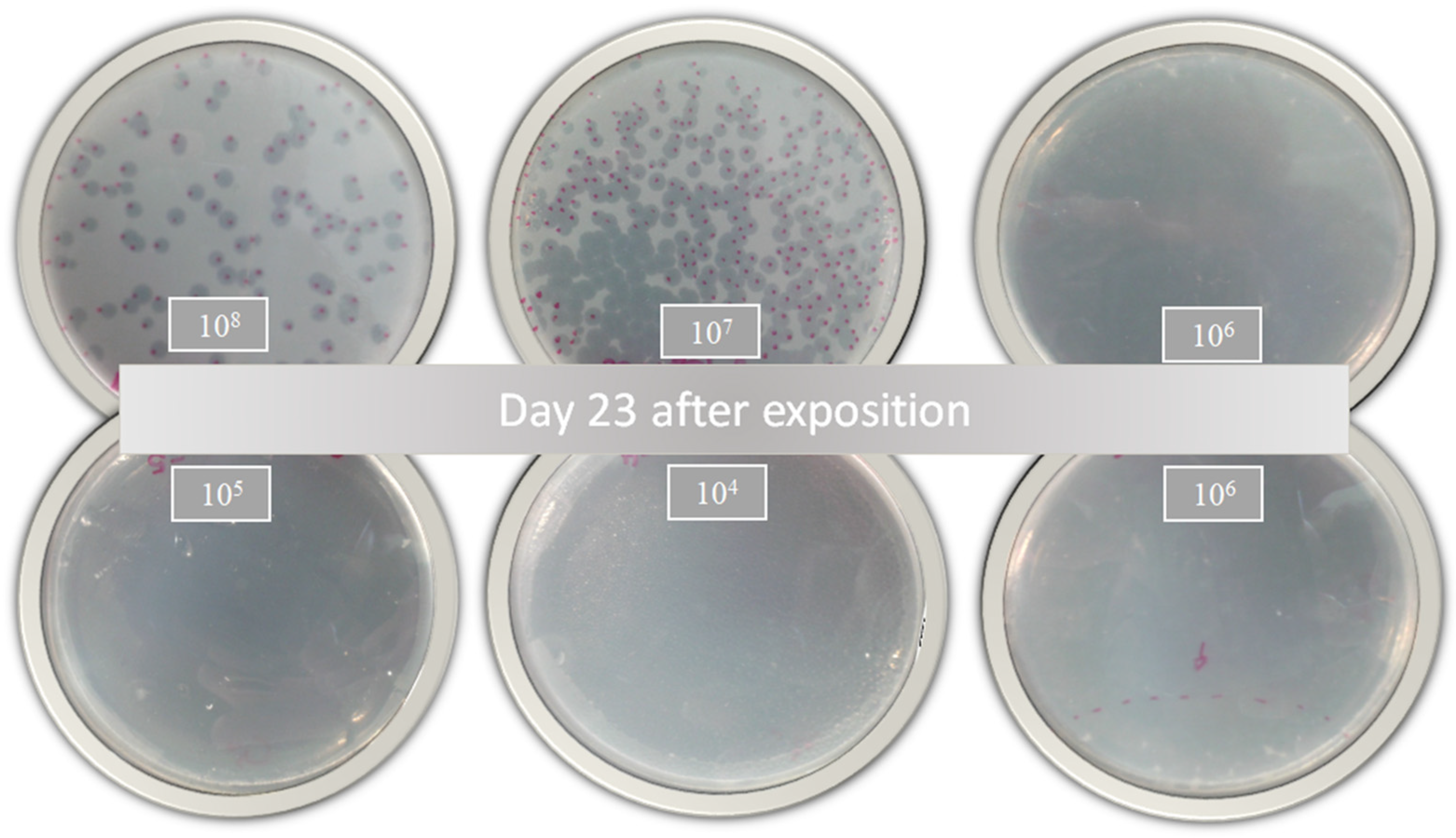 Diseases 11 00150 g004