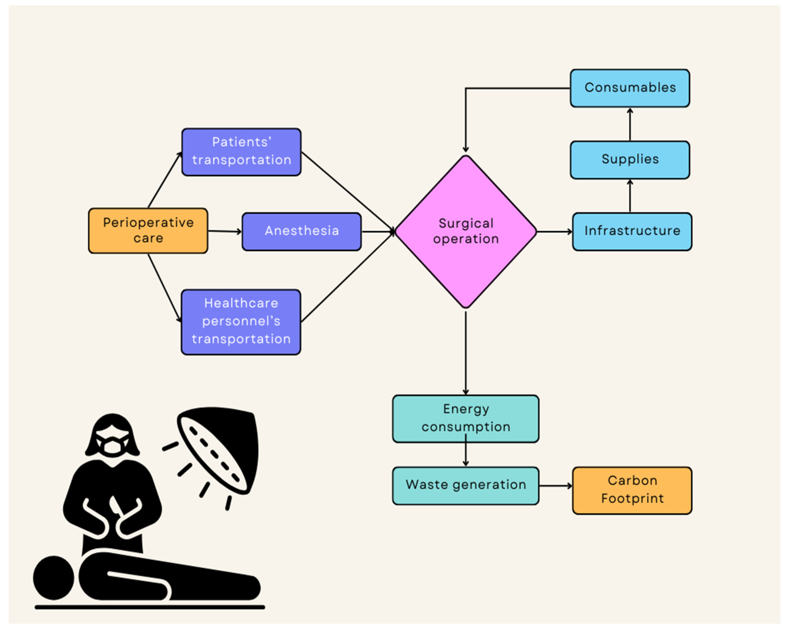 Diseases 11 00157 g001