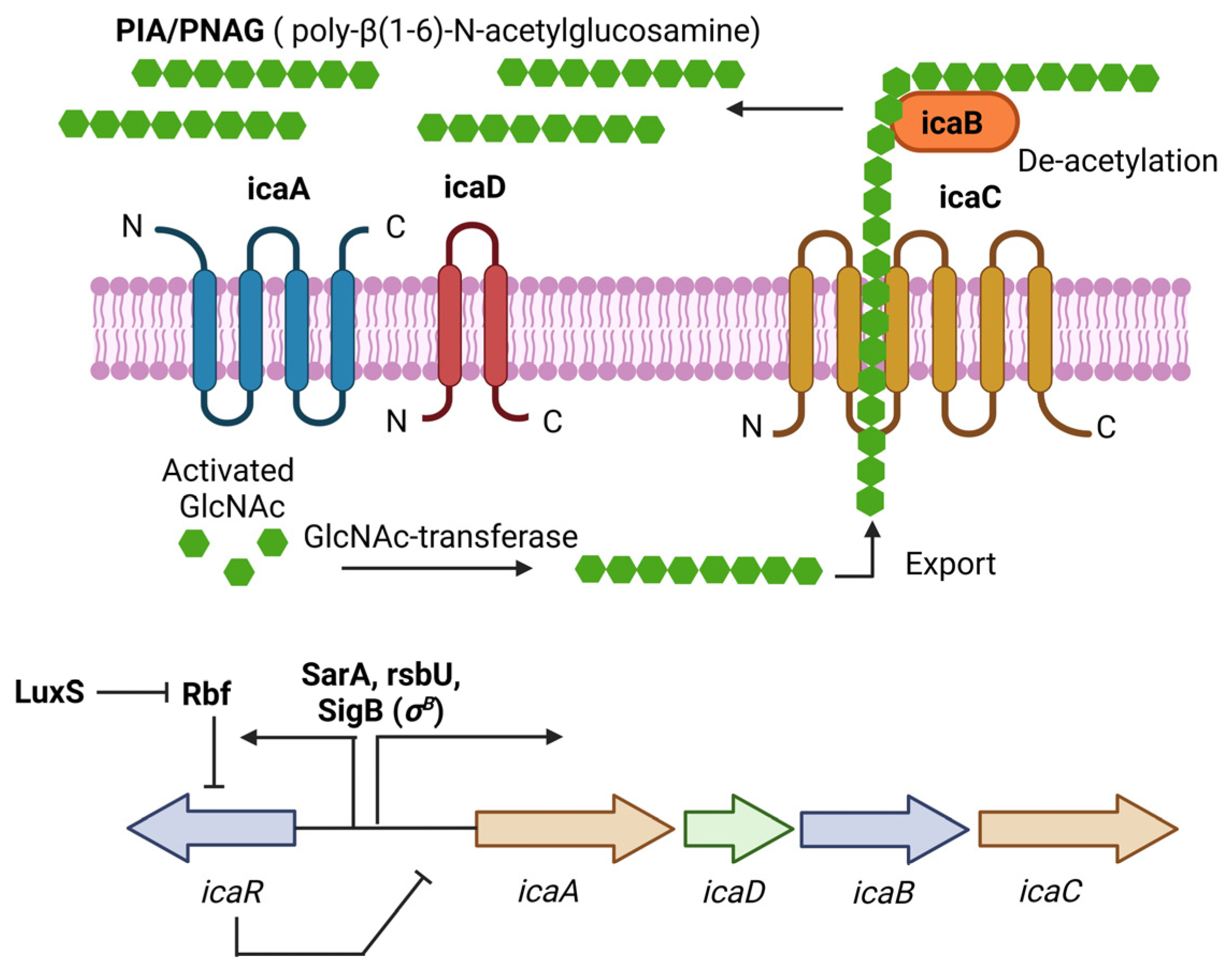 Diseases 11 00160 g001 Diseases 11 00160 g001