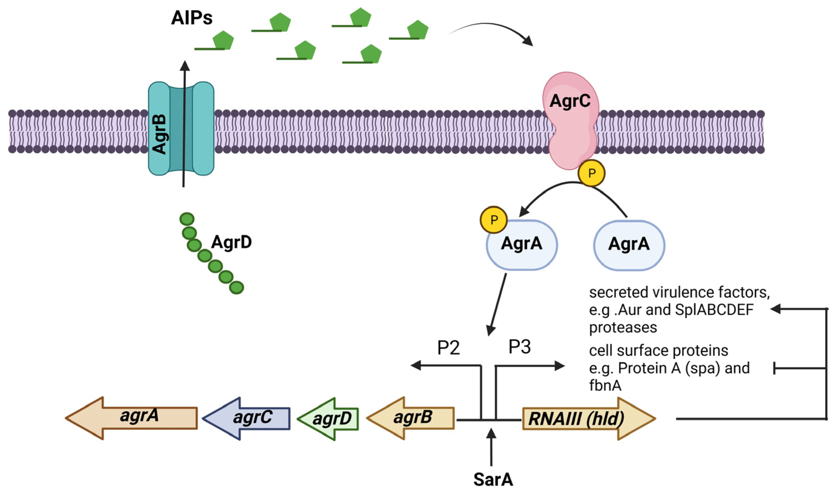 Diseases 11 00160 g002 Diseases 11 00160 g002