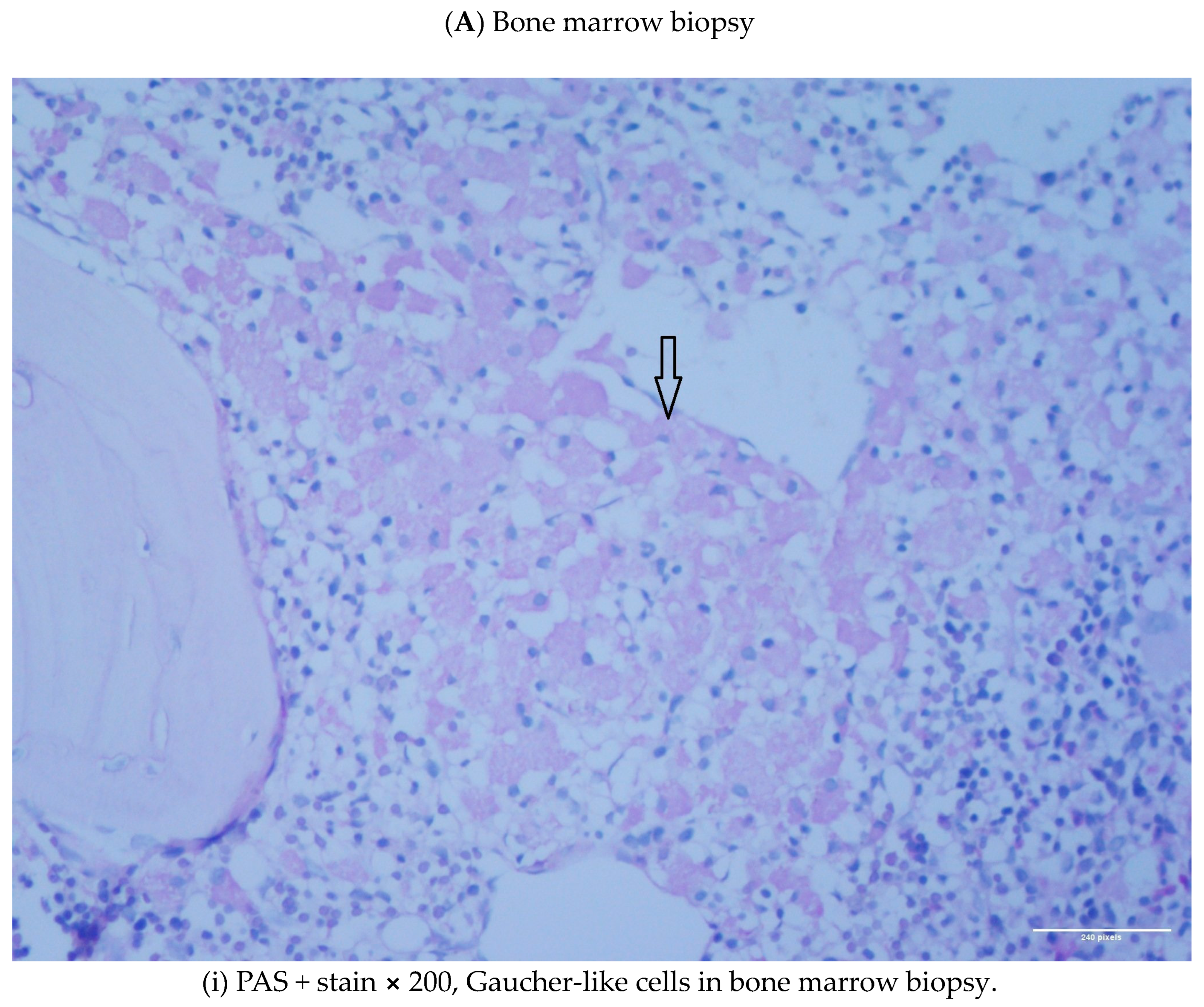 Diseases 11 00161 g001a