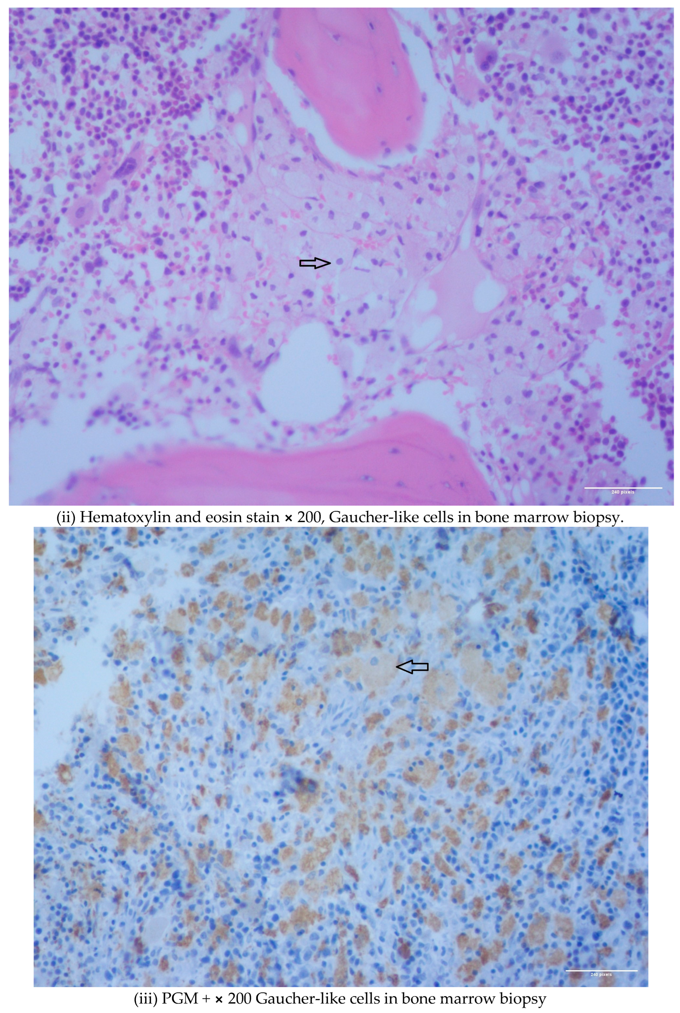 Diseases 11 00161 g001b