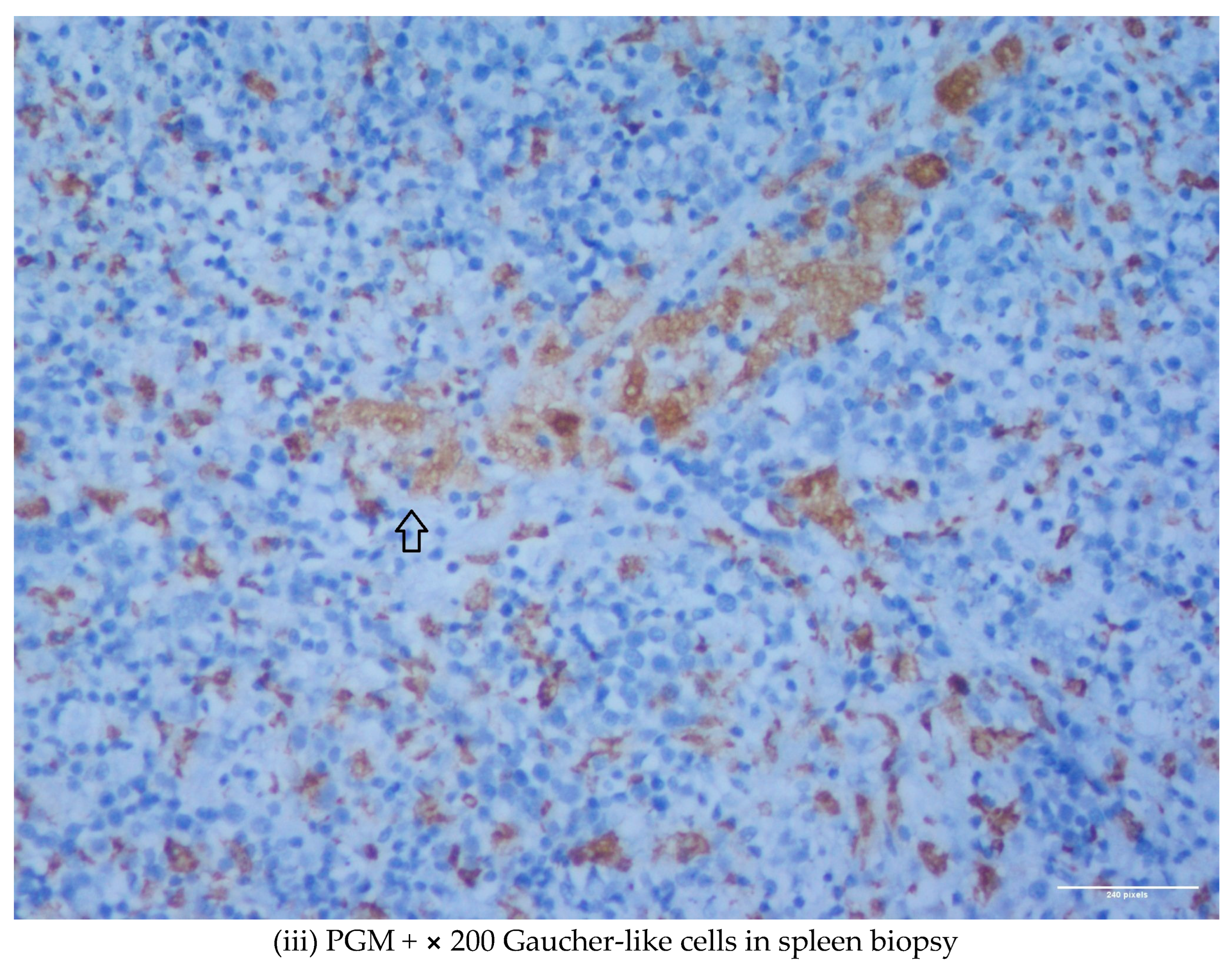 Diseases 11 00161 g001d