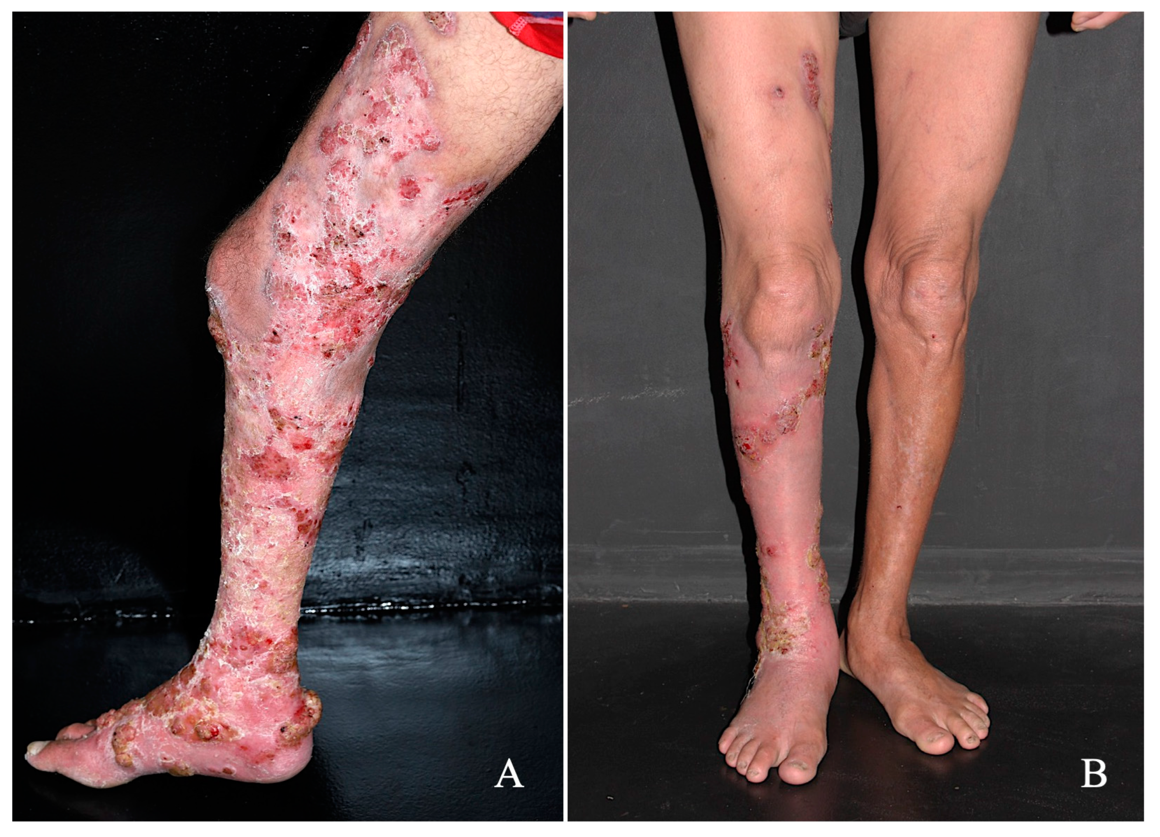 Diseases 11 00162 g002